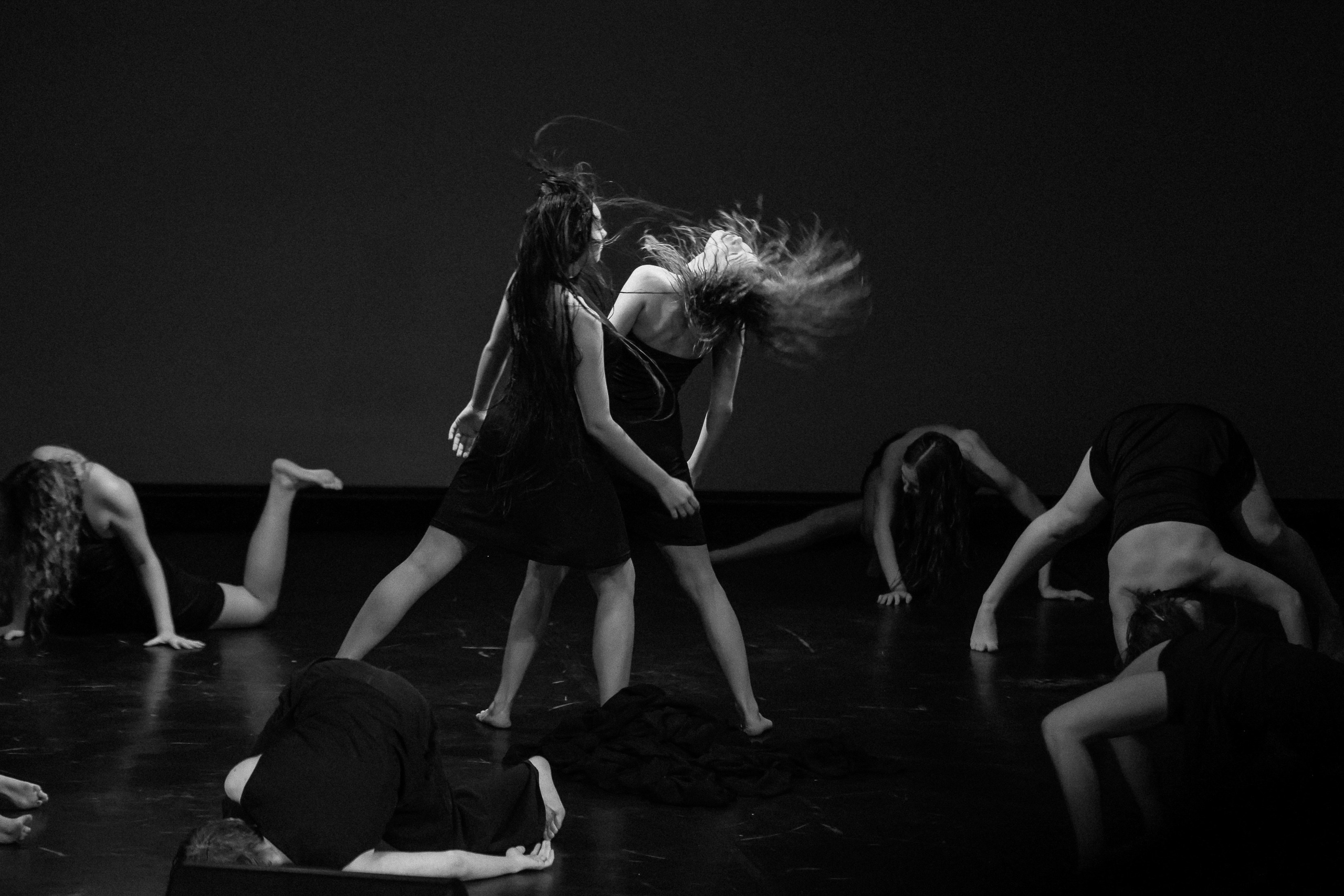 Небесные ласточки на Танц ЭКСПО 2026. Фотограф Юлия Мальцева