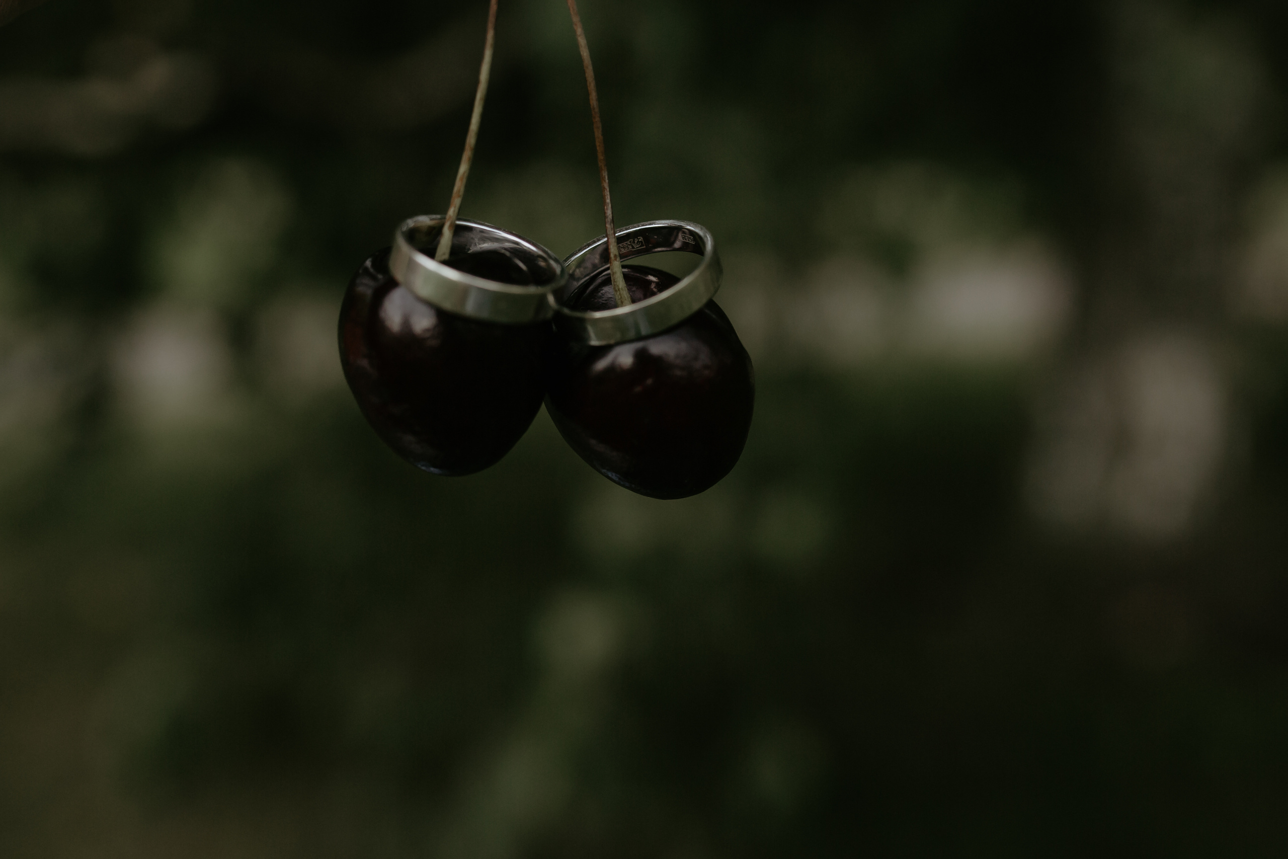 Женя и Надежда. Wedding photographer Kiryanov Maxim. I take photos in Moscow, Kolomna,