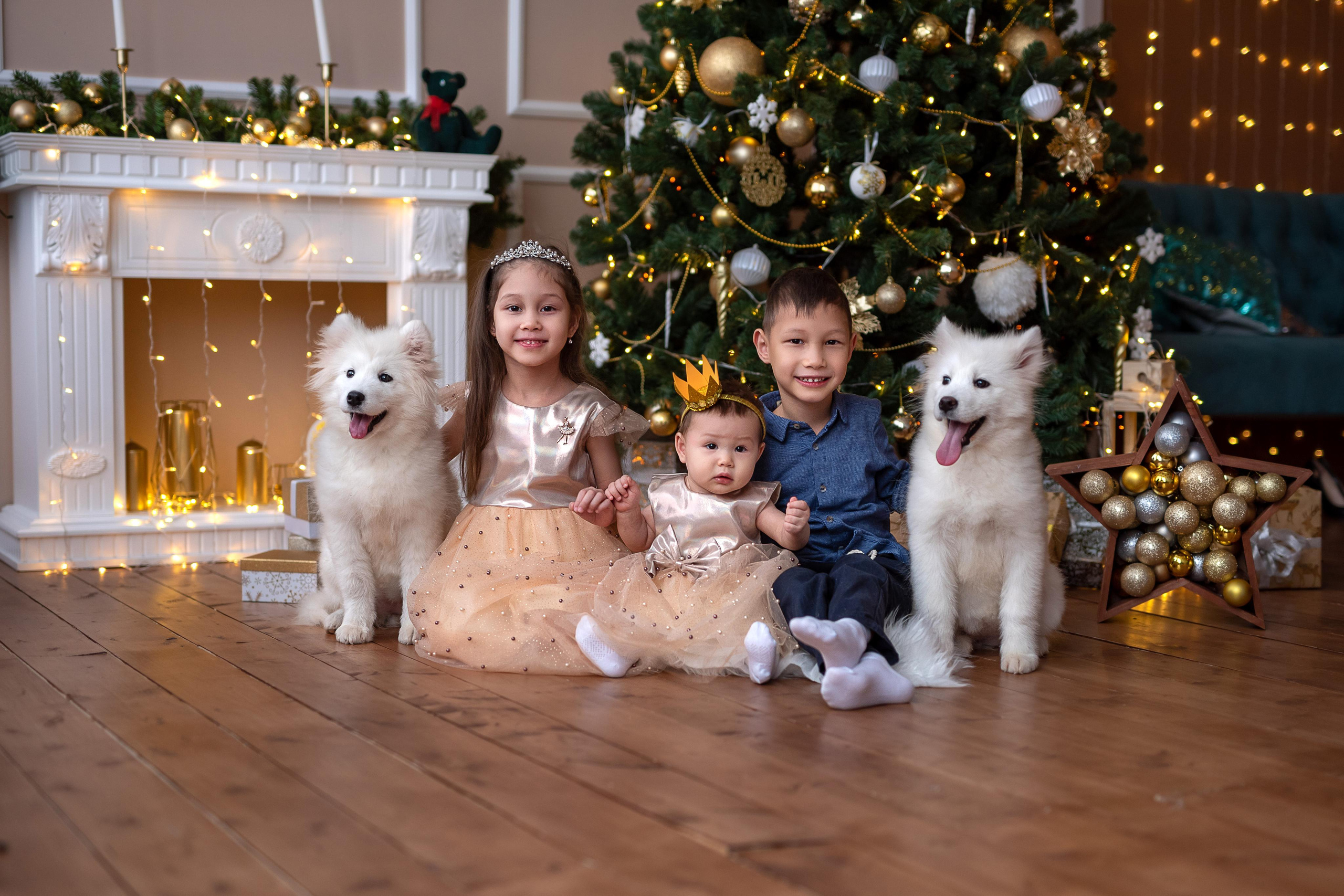 Детская съёмка. Семейный детский фотограф видеограф в Омске Юлия Татаринова