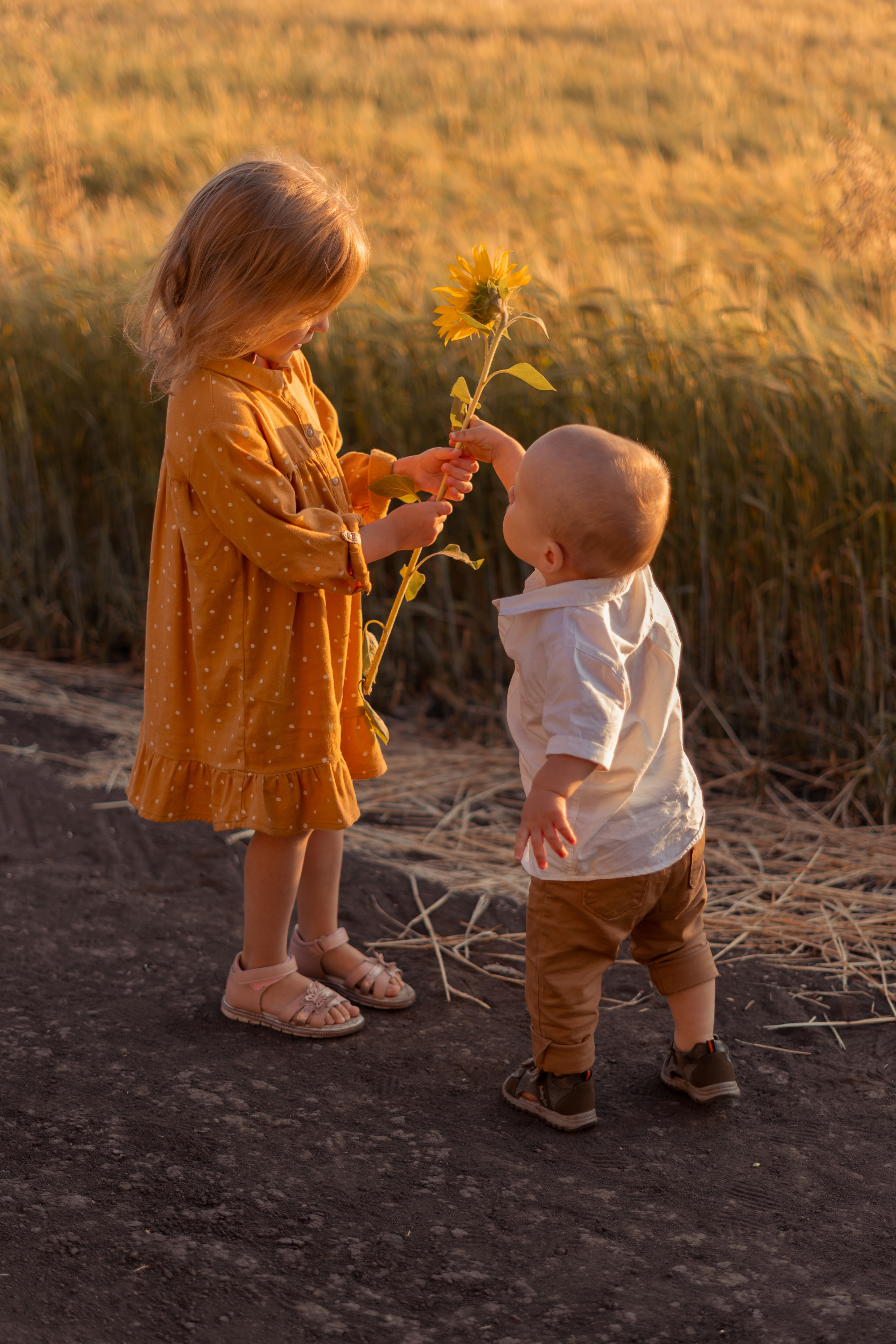 Детская съёмка. Семейный детский фотограф видеограф в Омске Юлия Татаринова
