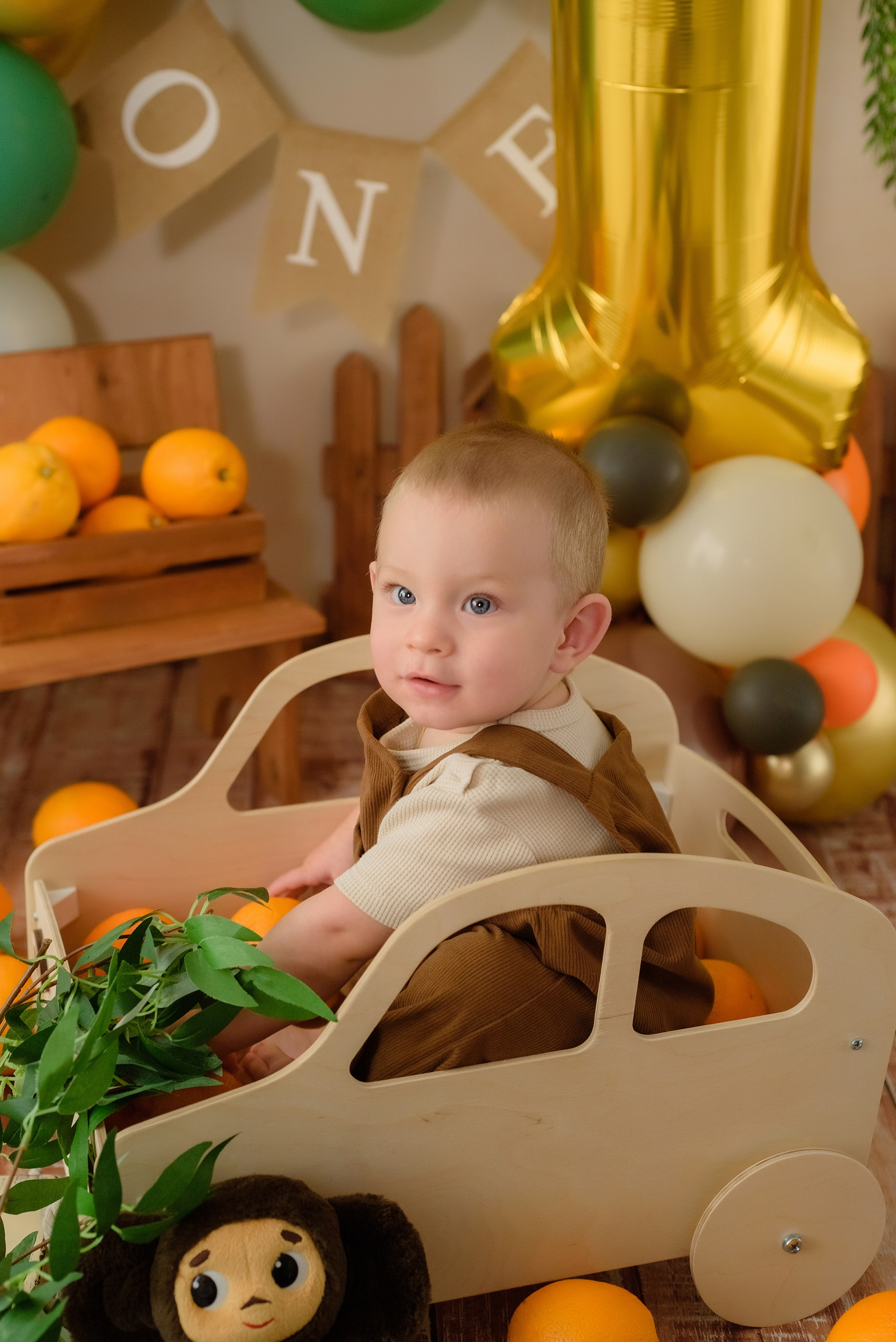 «Чебурашка» 1 годик. Детский Фотограф |Фотограф на годик в Брянске Ирина Романова