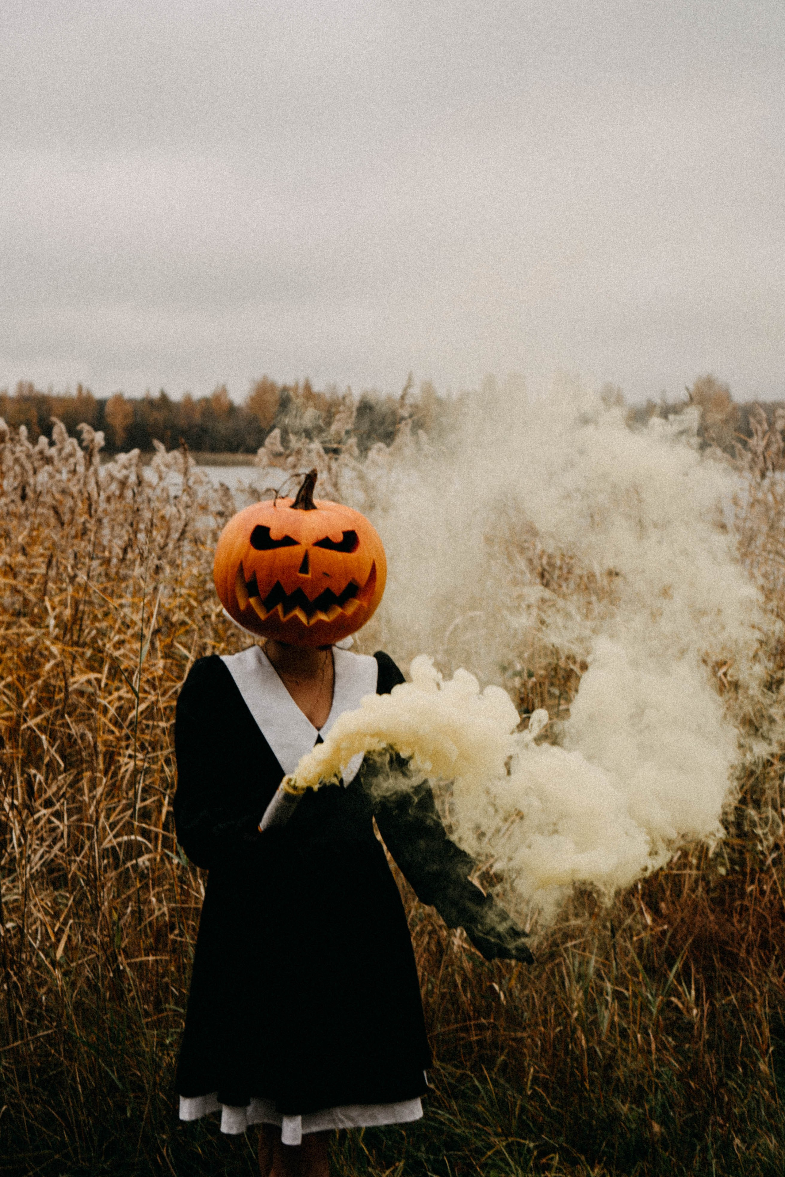 Осеняя. Профессиональный фотограф, Санкт-Петербург — Виктория Богомолова