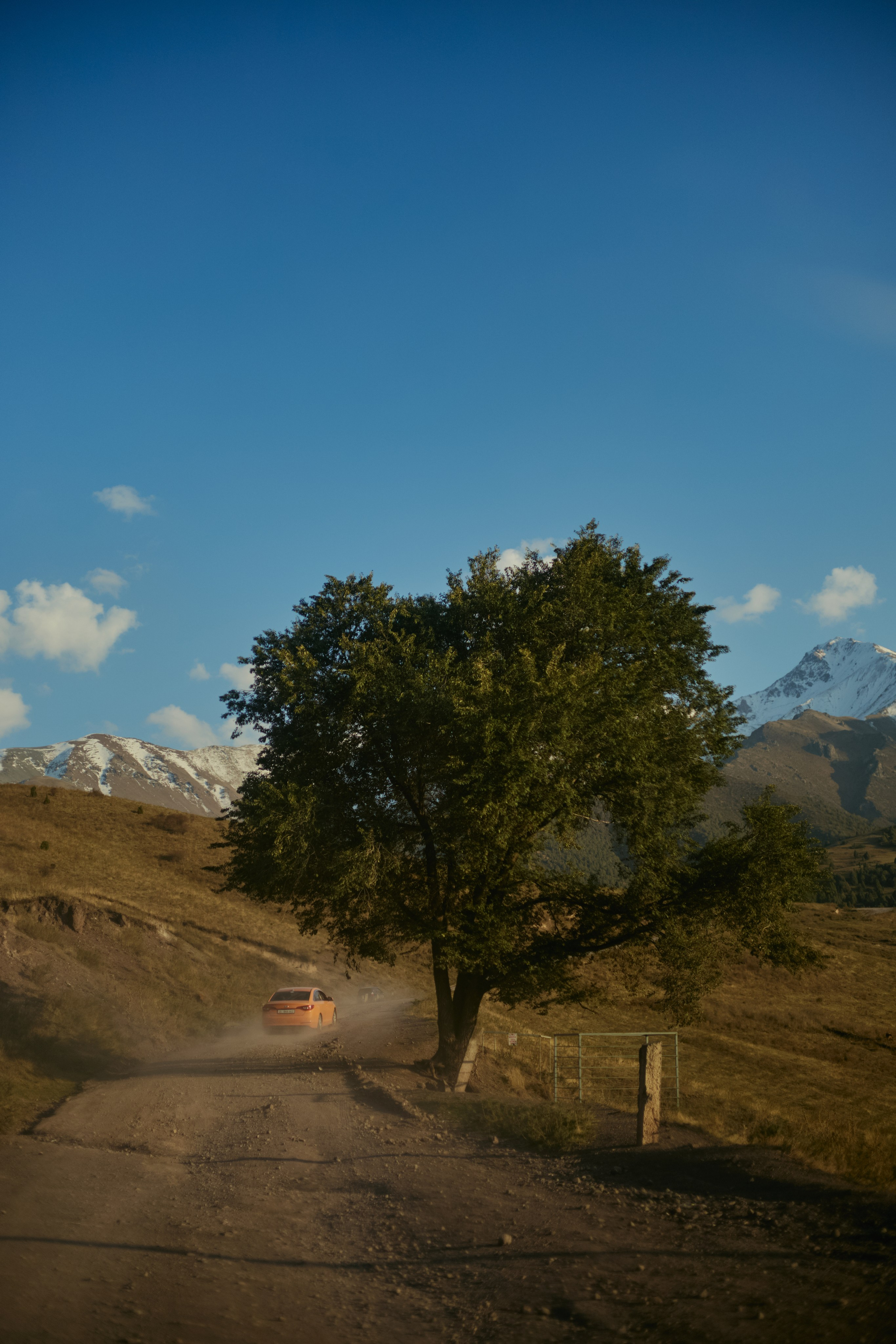 Кыргызтан. Профессиональный Фотограф во Владимире, в Москве и в Суздале — Полина Романычева