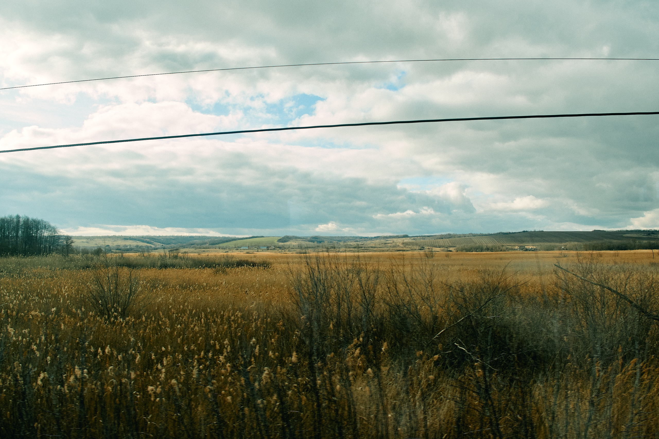 Юг России. Профессиональный Фотограф во Владимире, в Москве и в Суздале — Полина Романычева