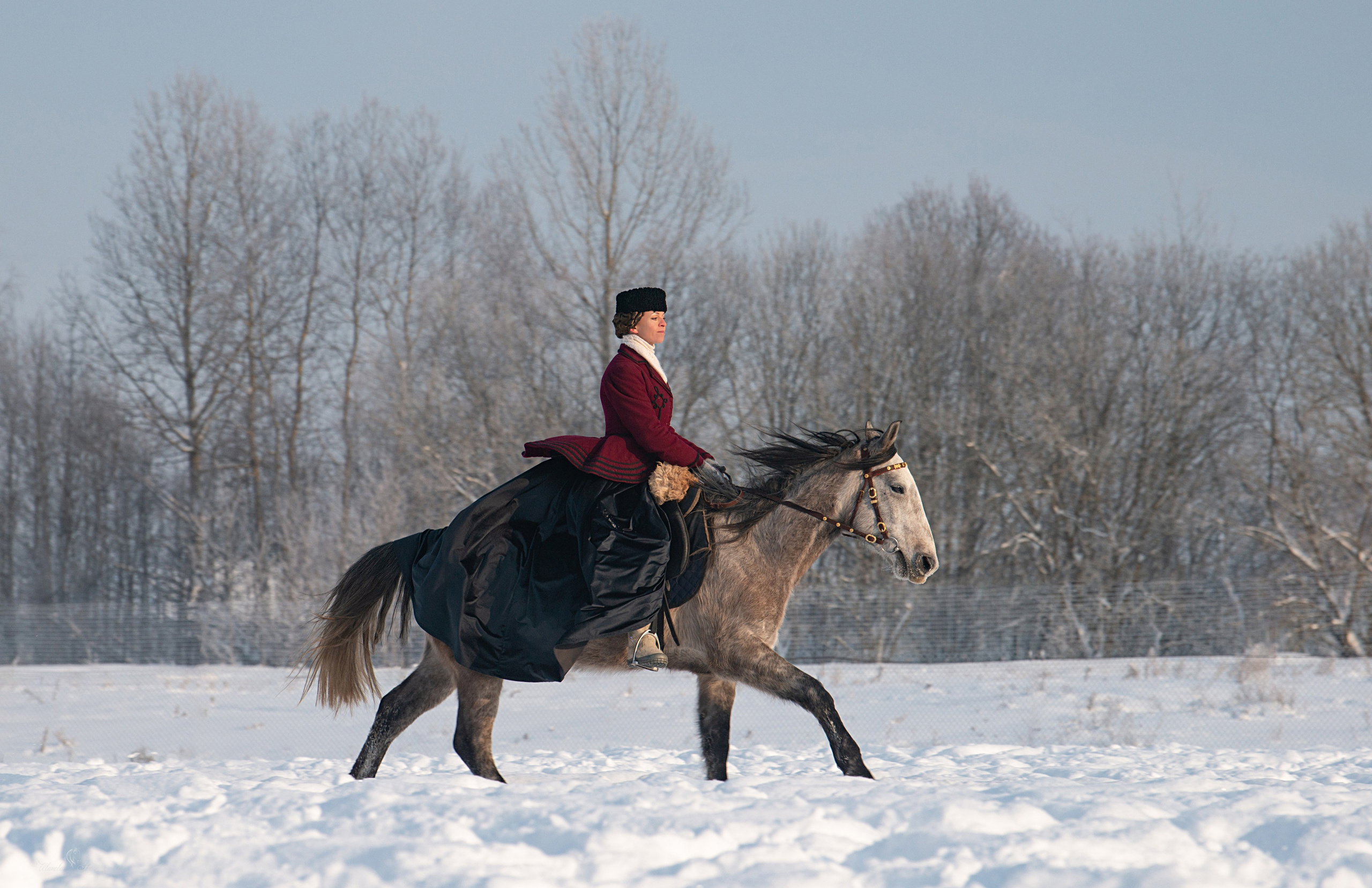 Псовая охота Аванпост. Конный фотограф в Саратове Юлия Иванова