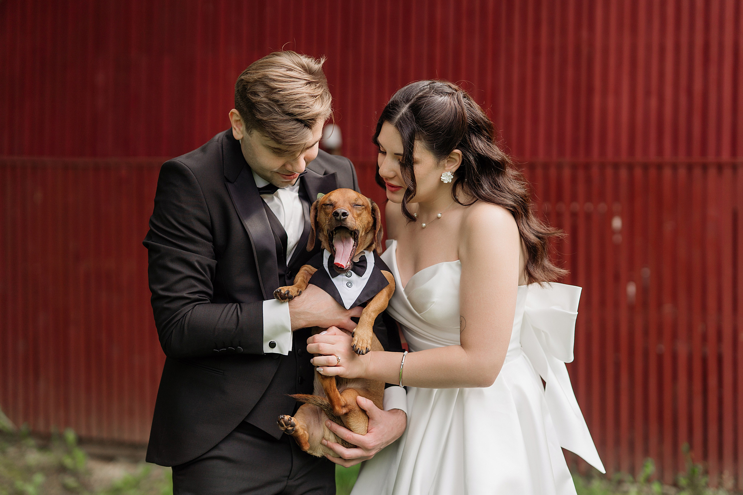 Клкллкаккк. Свадебный фотограф