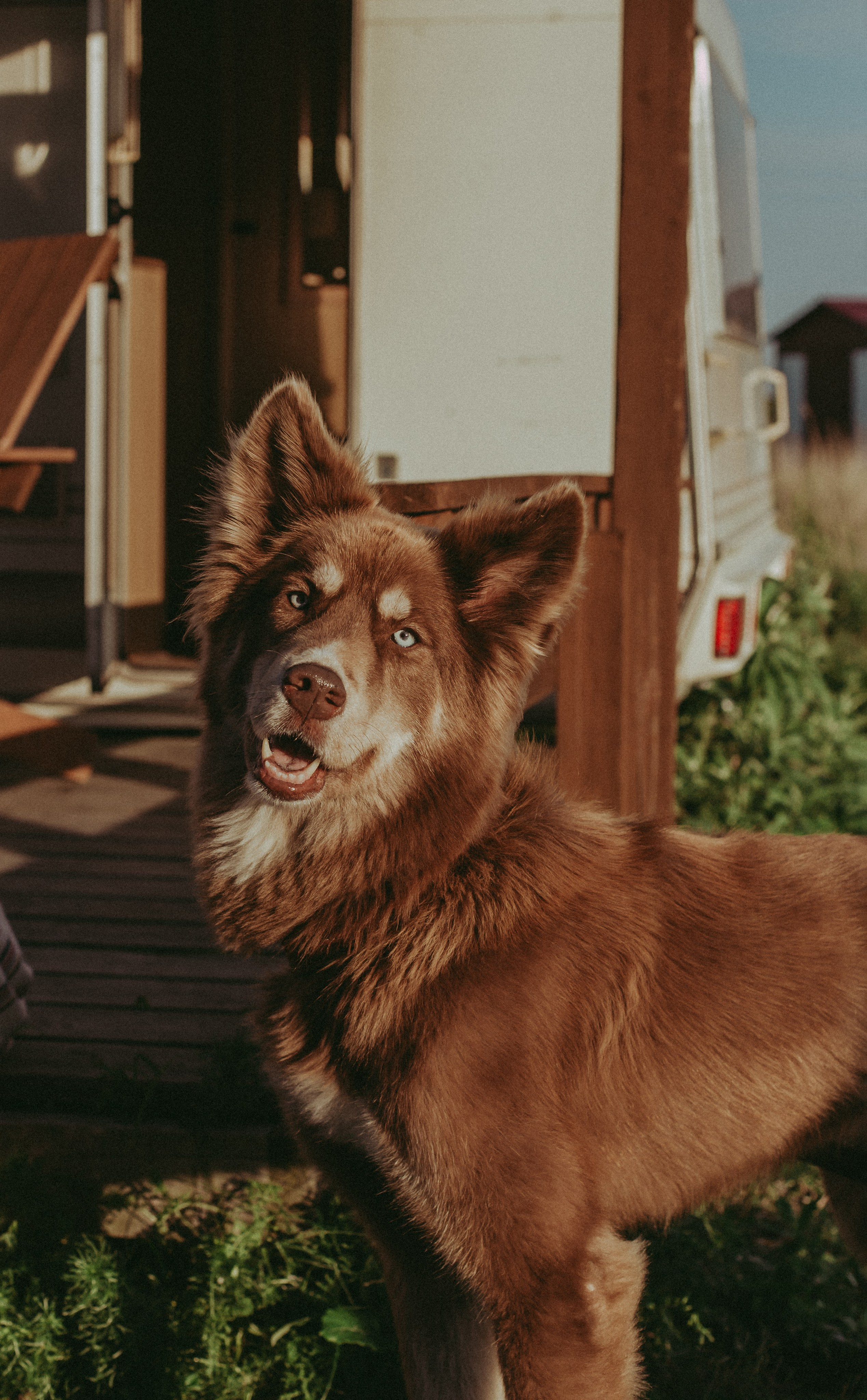 Даша Данил Миша. Семейный и свадебный фотограф во Владивостоке