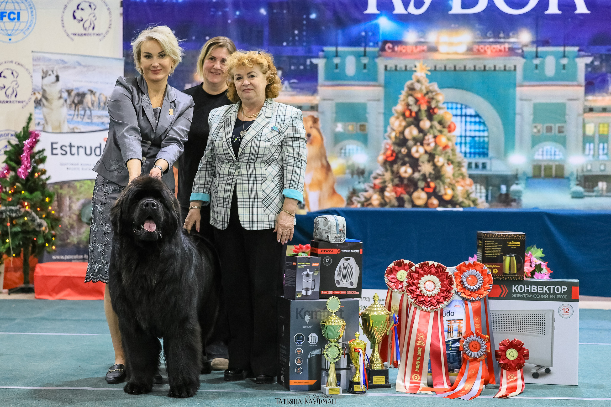 6-7.12.25 — 1-4 Национальные выставки собак в Новосибирске (2х рейтинговые). Фотограф Анималист из Новосибирска Татьяна Кауфман