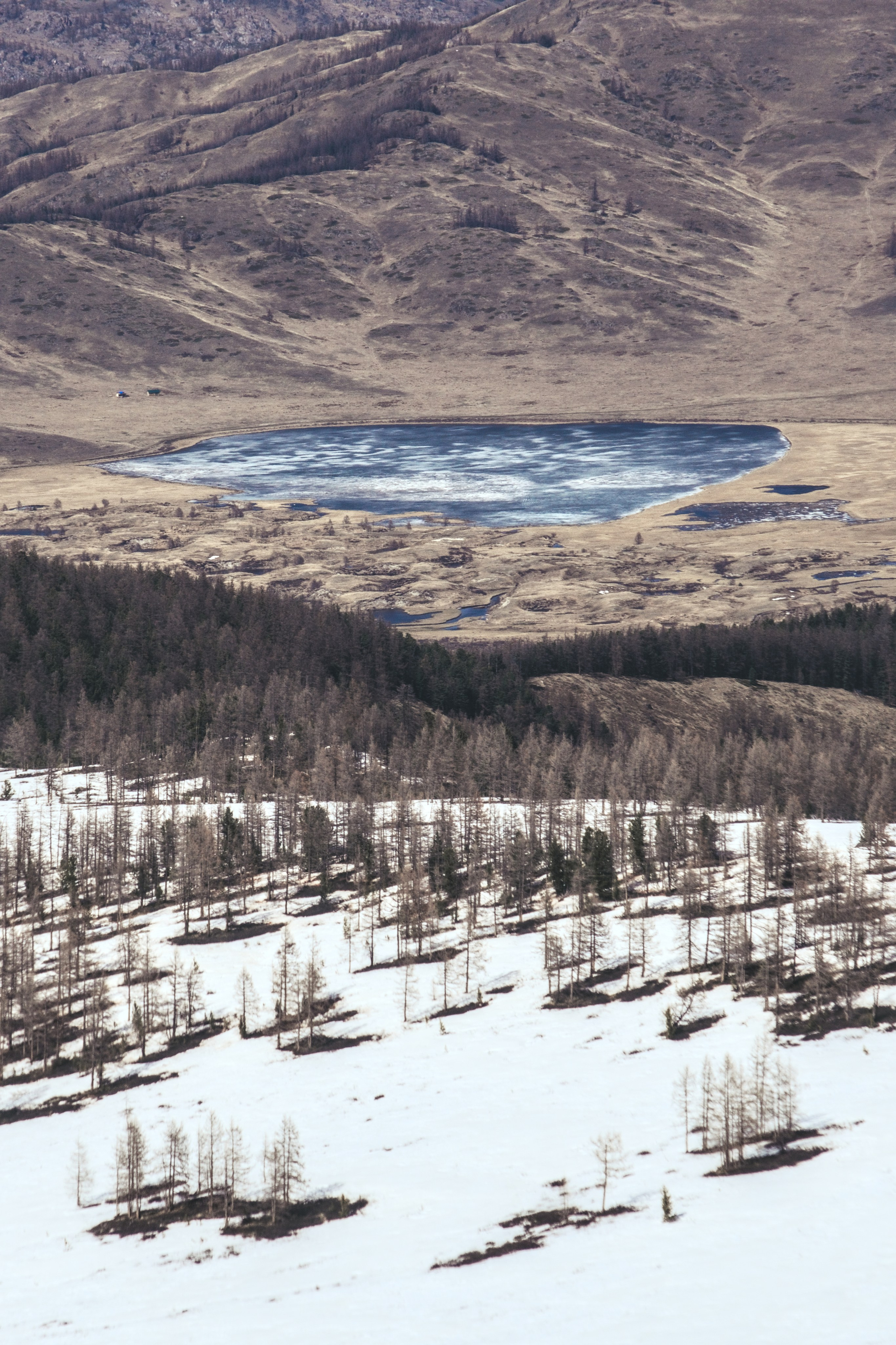Джангысколь. Фотограф анималист, пейзажист, спортивные мероприятия. Новосибирск