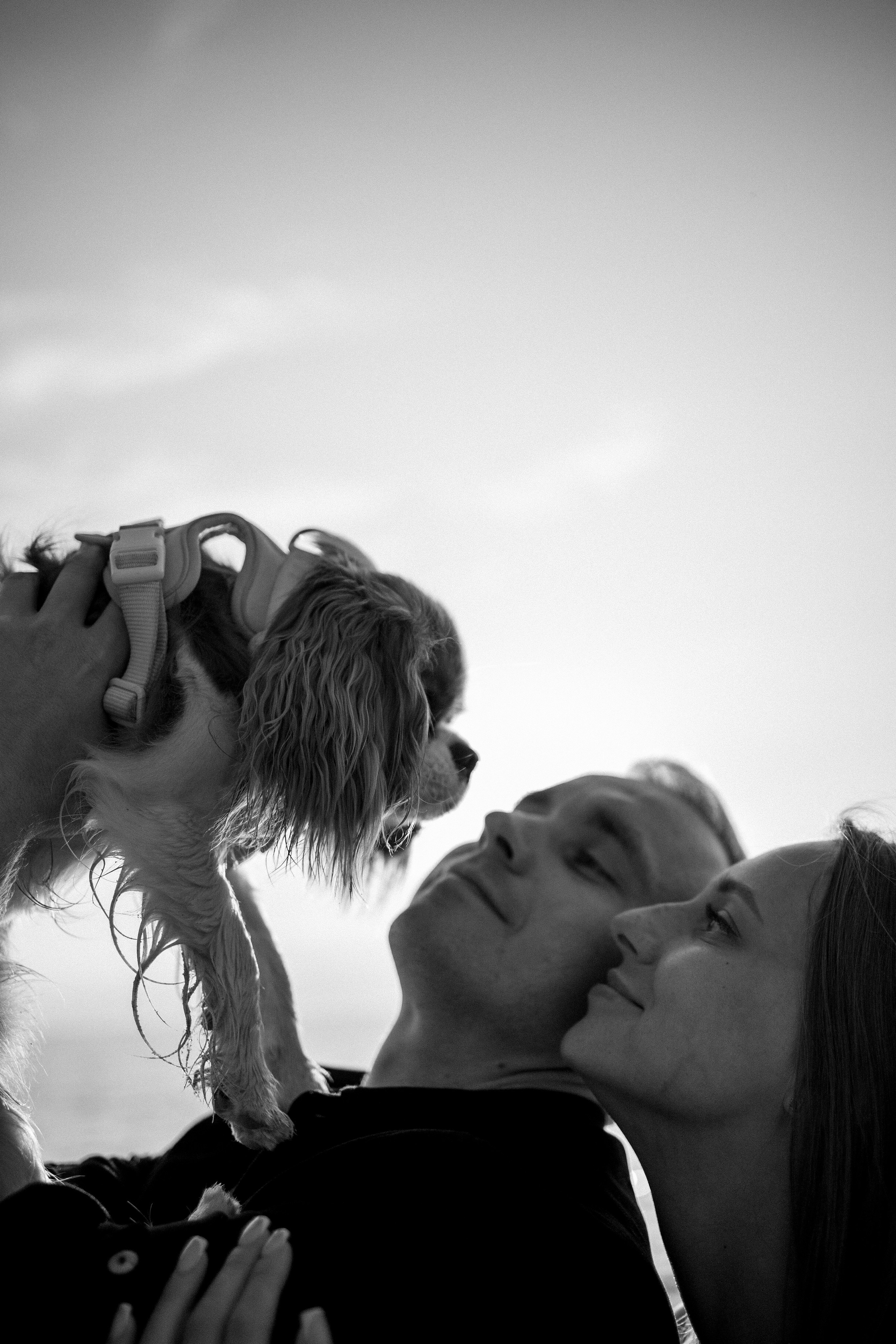 Лу и его семья. Фотограф — Анималист | Санкт-Петербург