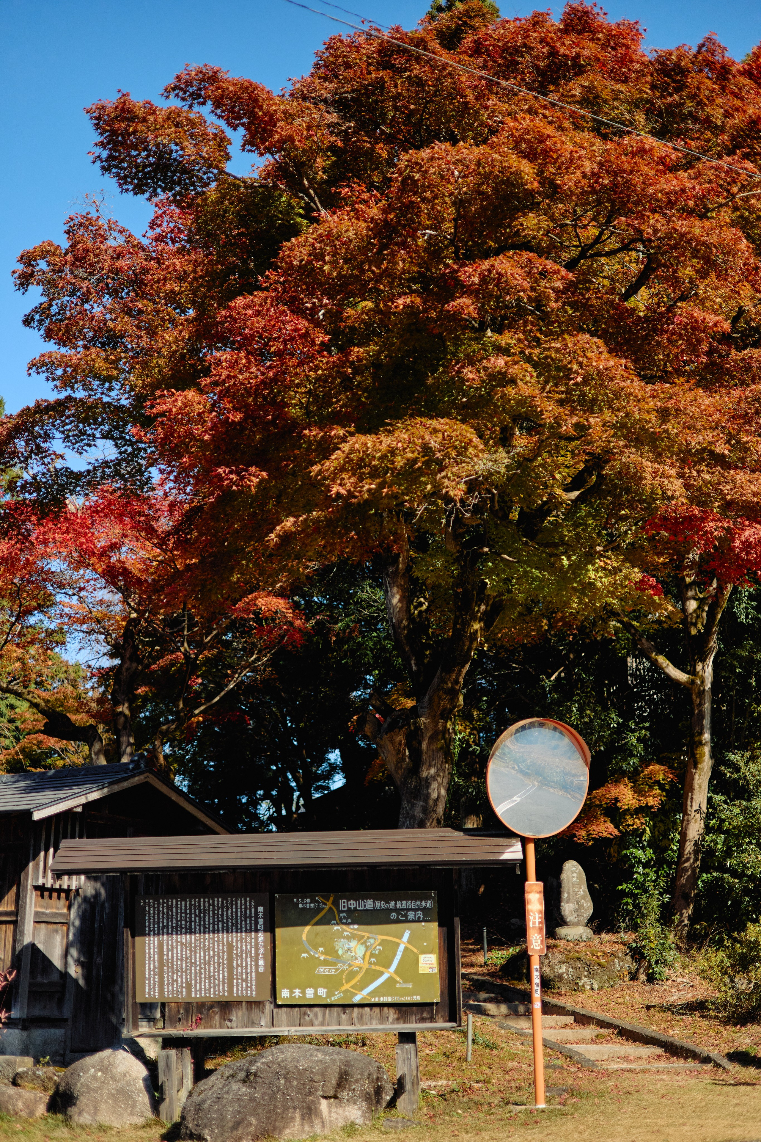 Япония. Профессиональный Фотограф во Владимире, в Москве и в Суздале — Полина Романычева
