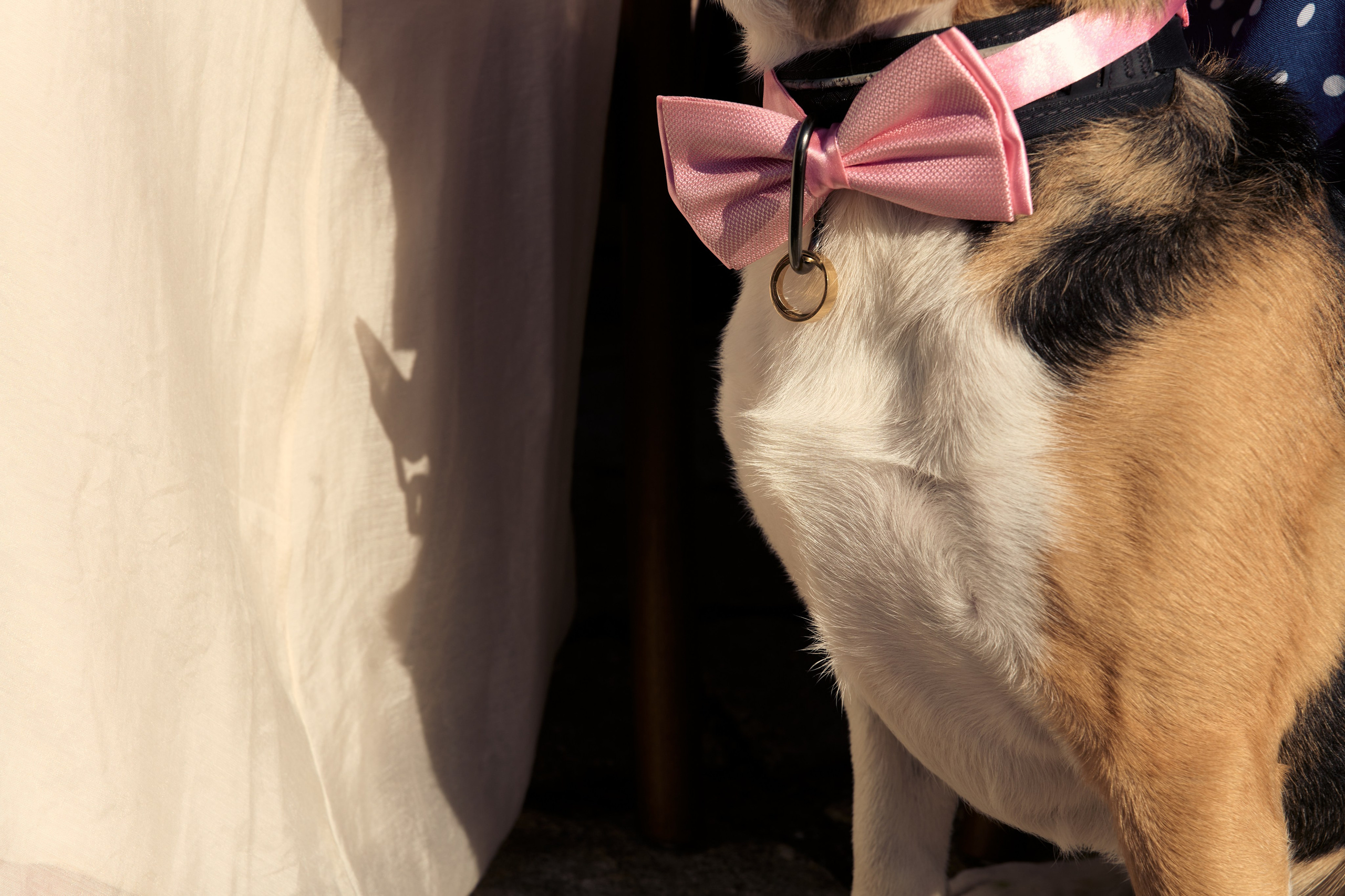 РЕmezzоВЫ. Фотограф Москва и Екатеринбург. Максимова Соня