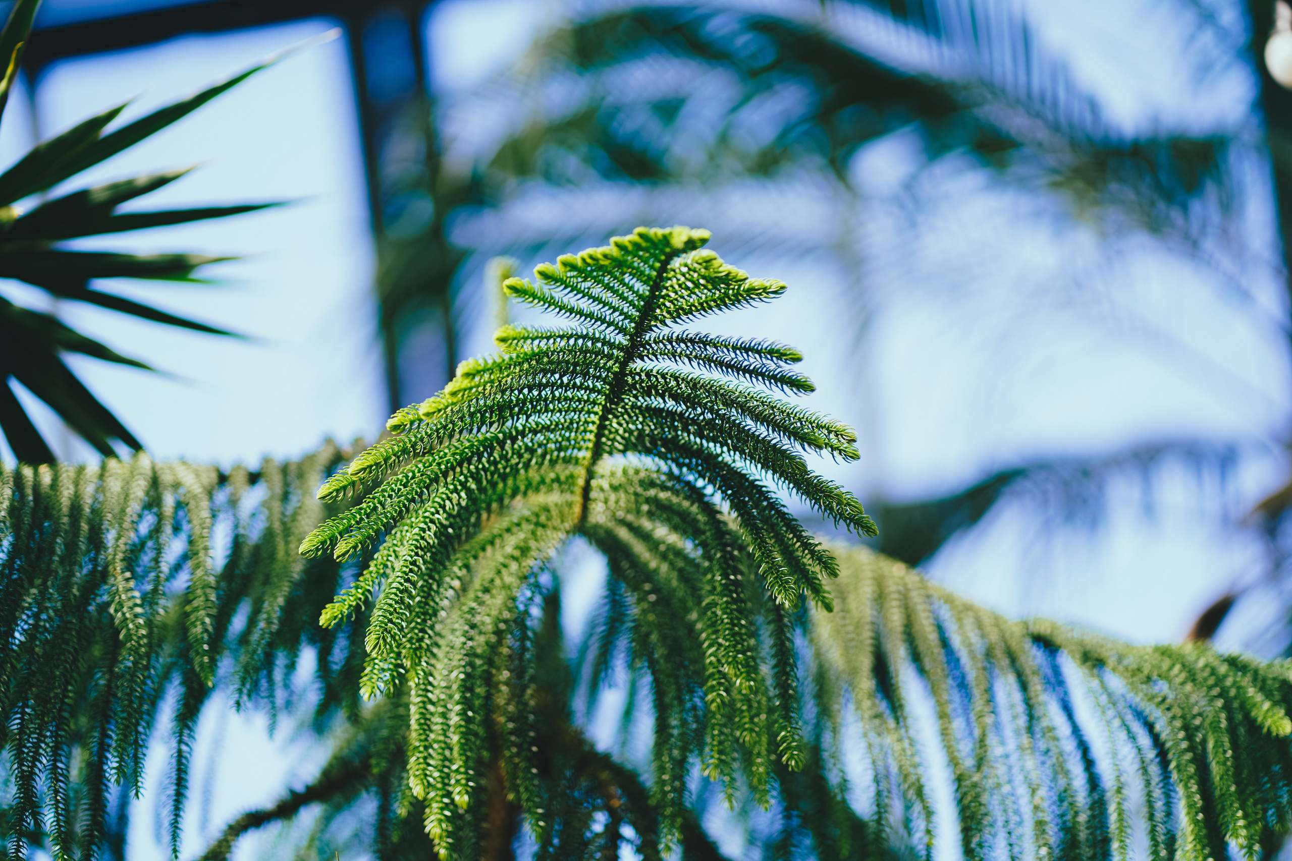 Игорь и Екатерина. Свадебный фотограф Копков Геннадий