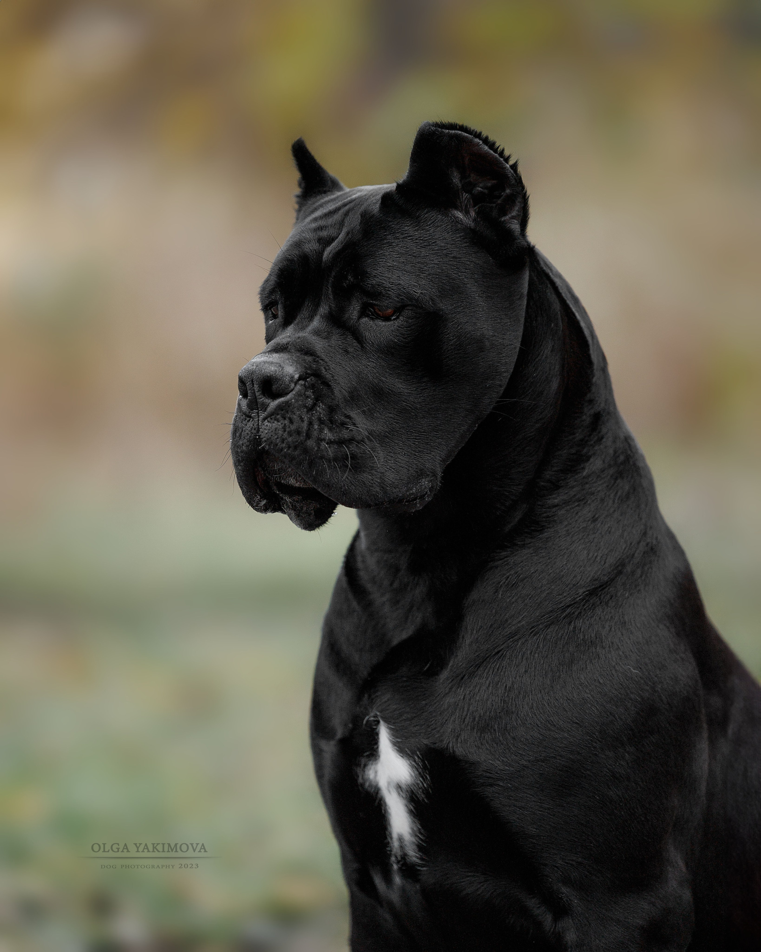 Экстерьер. Фотограф