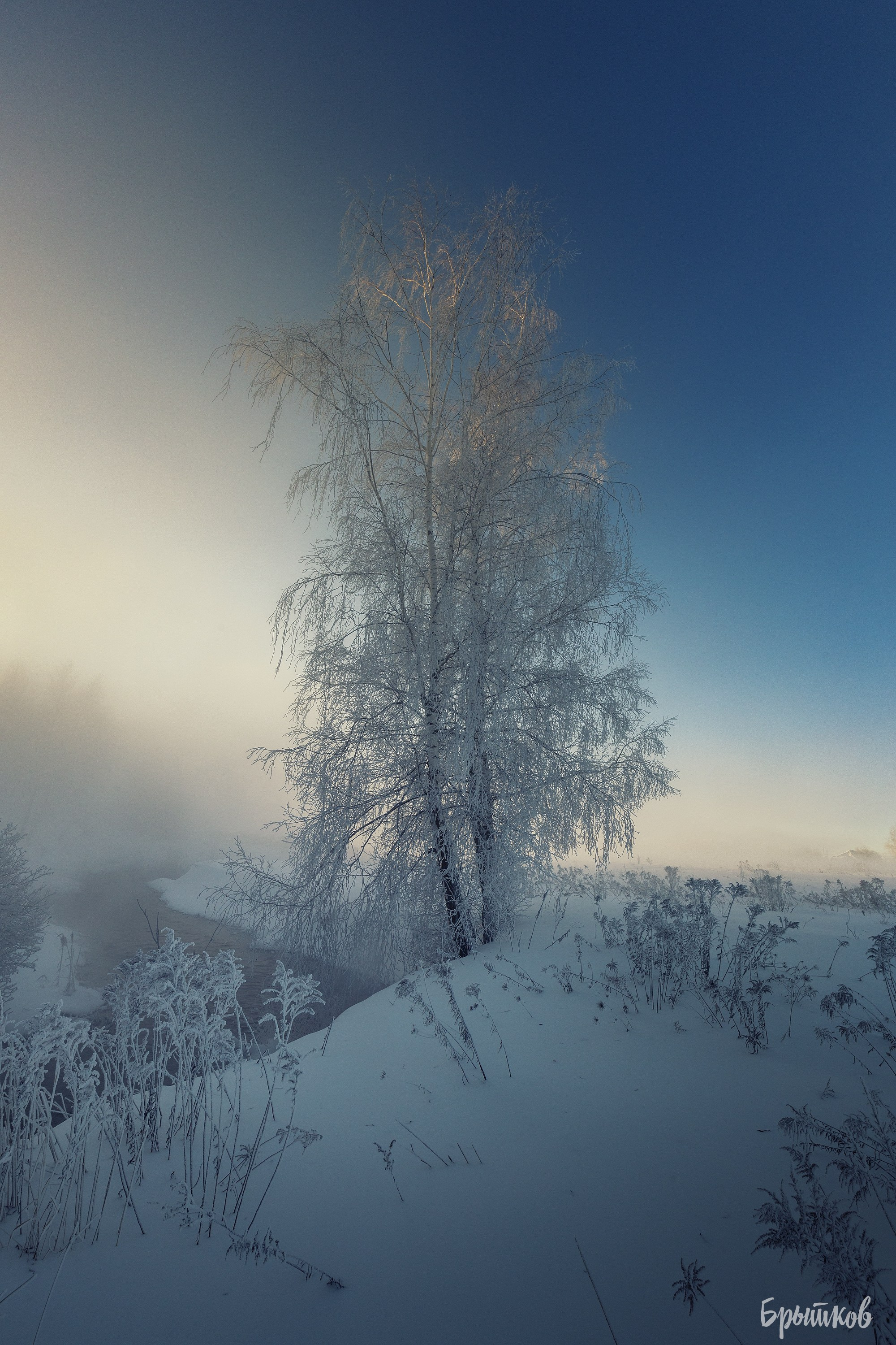 Ручей Деготня. Николай Брытков — фотограф в Туле