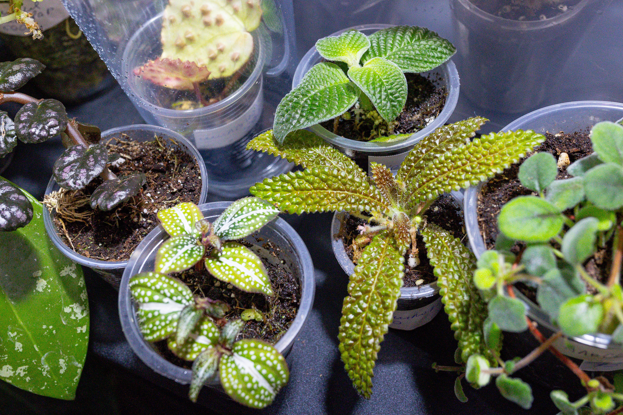 Монстериум 11–12 октября. Александра Куликова фотограф, Москва