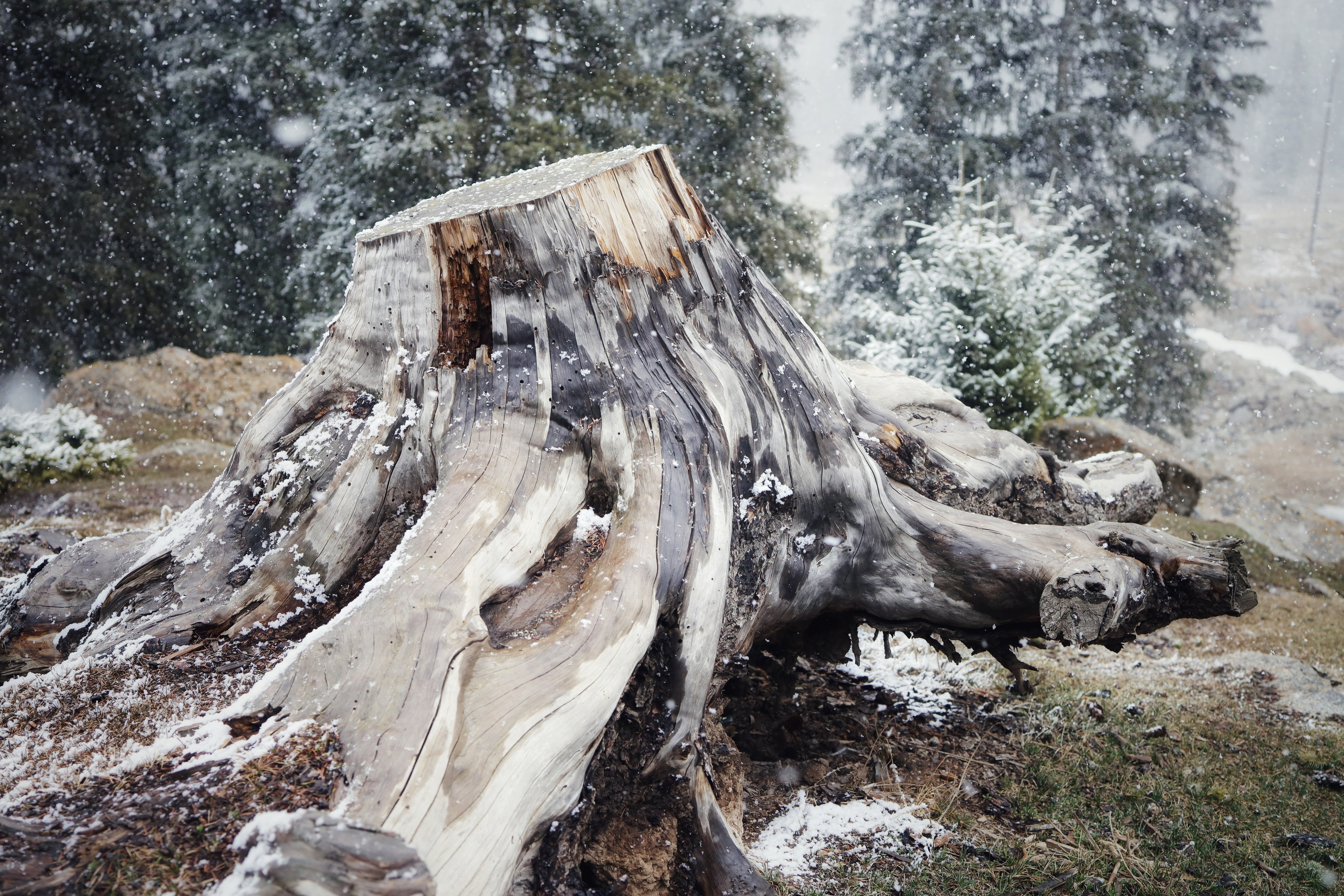 Around Issyk-Kul / Spring, Summer, Fall, Winter… and Spring. POLINA MÔMOT