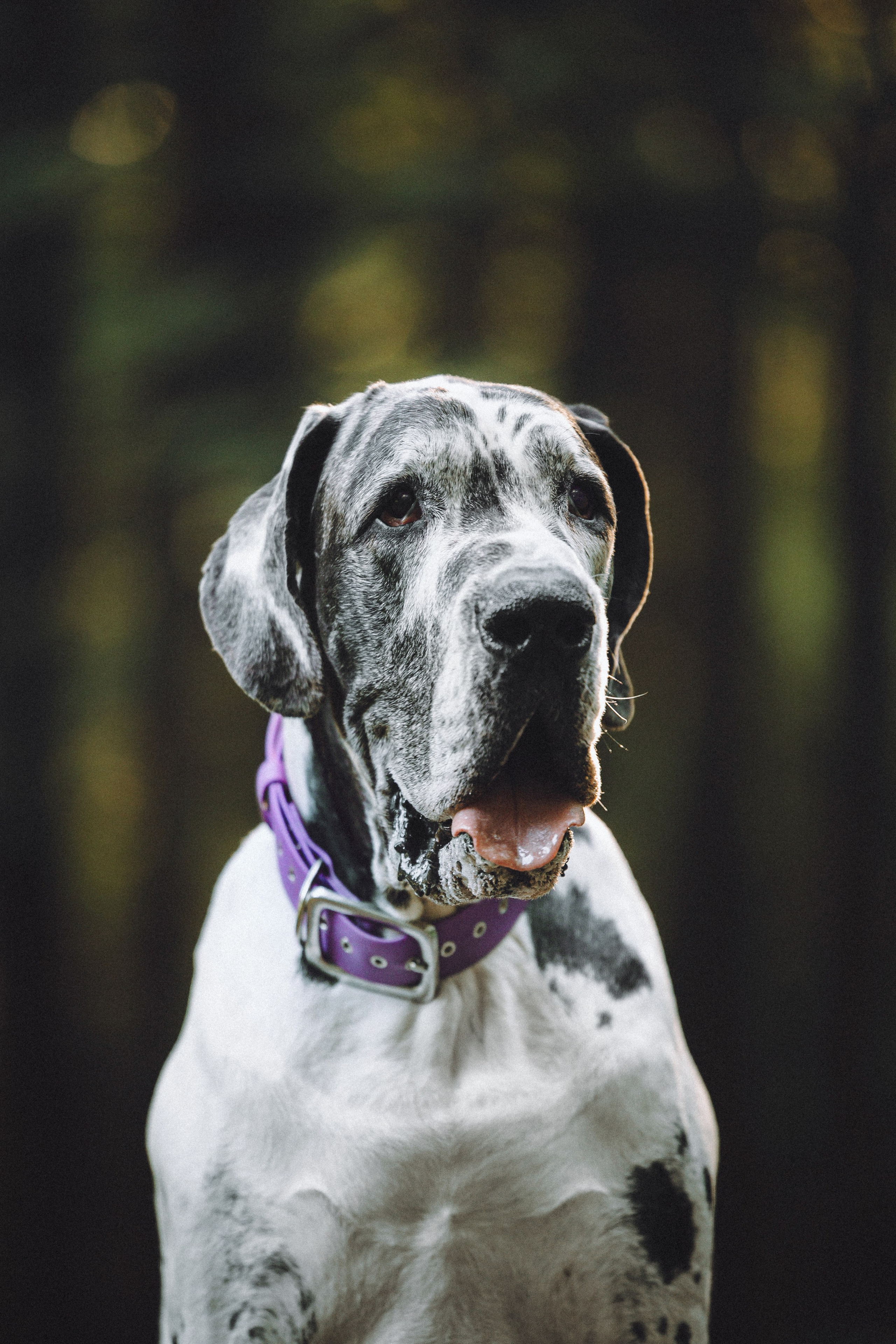 Катя, Андрей, Гектор, Ричи, Тортик и Трой