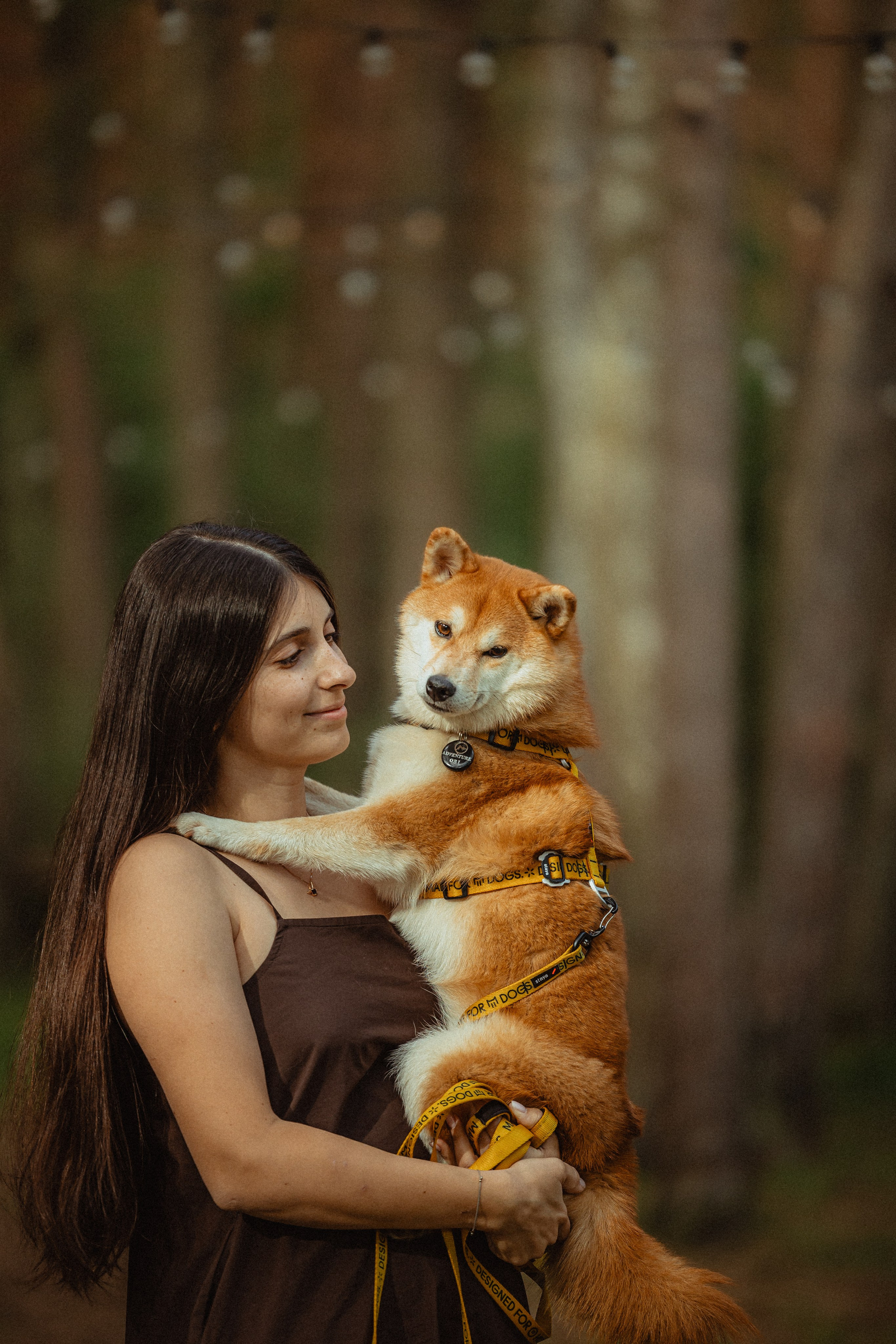 Выездной дог-тренинг от школы «Шерсть имею»
