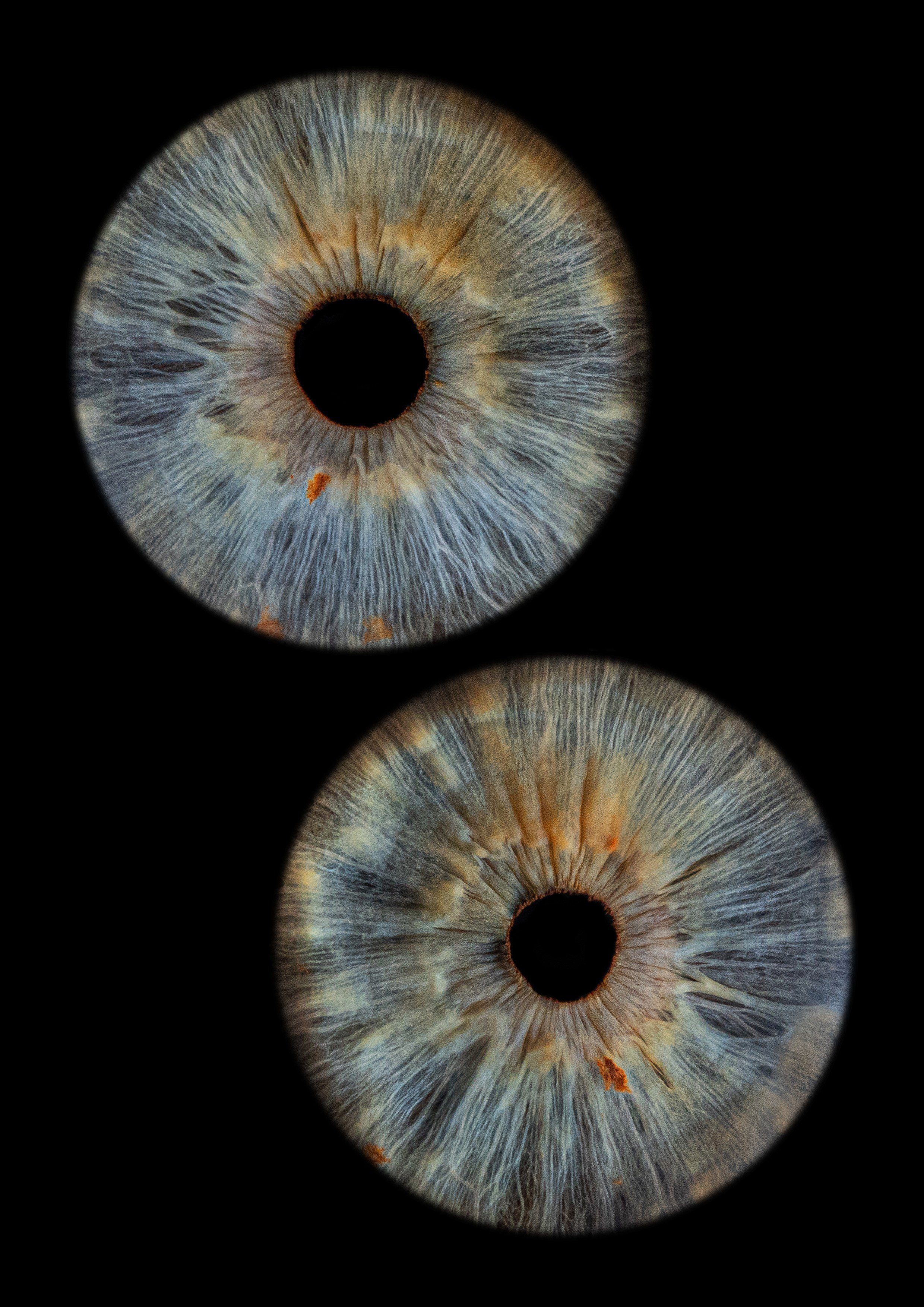 фото радужки глаза Хабаровск фотография радужки глаза Хабаровск