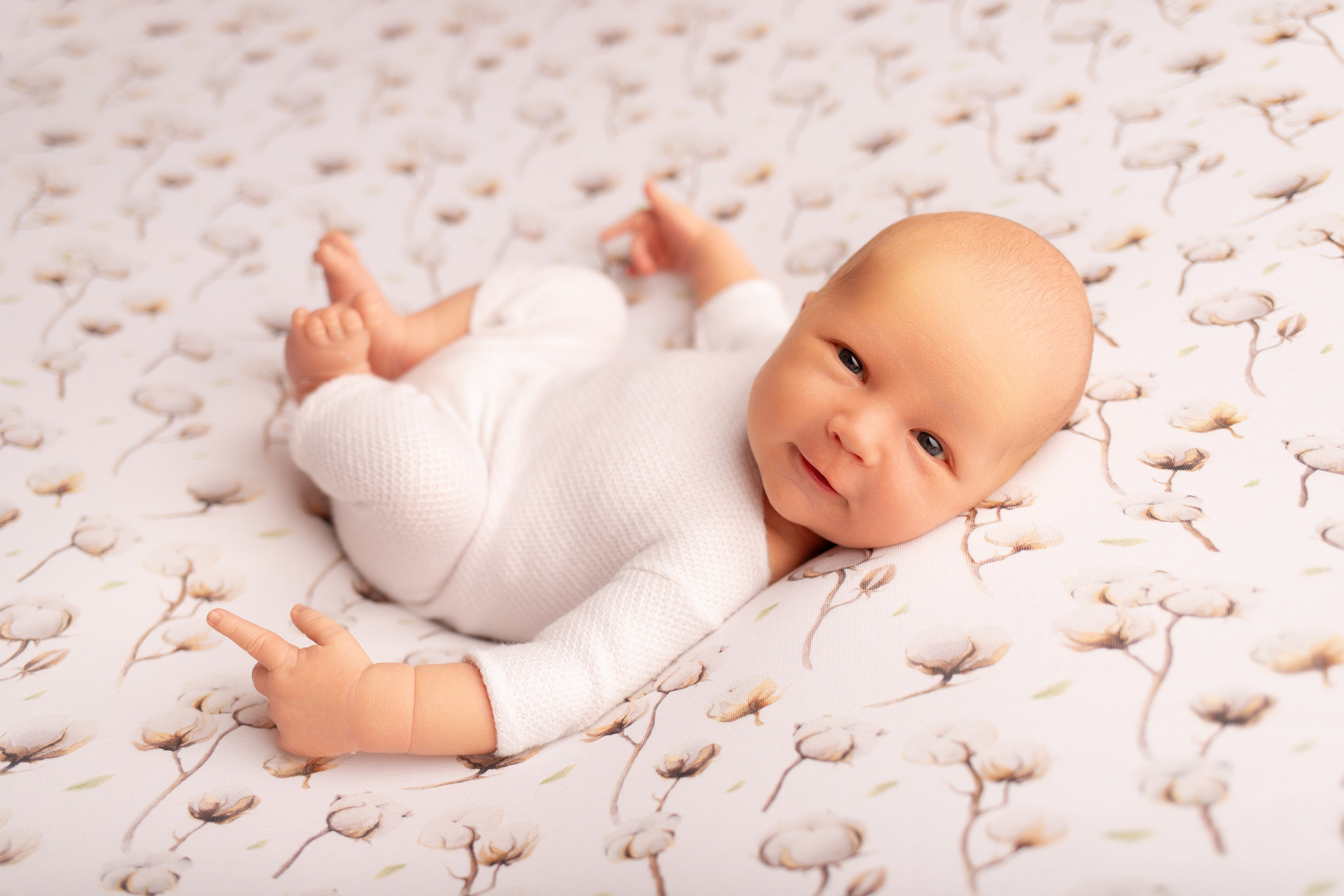 Каталог. Фотограф новорождённых Волгоград Волжский Дарья Рыскаль