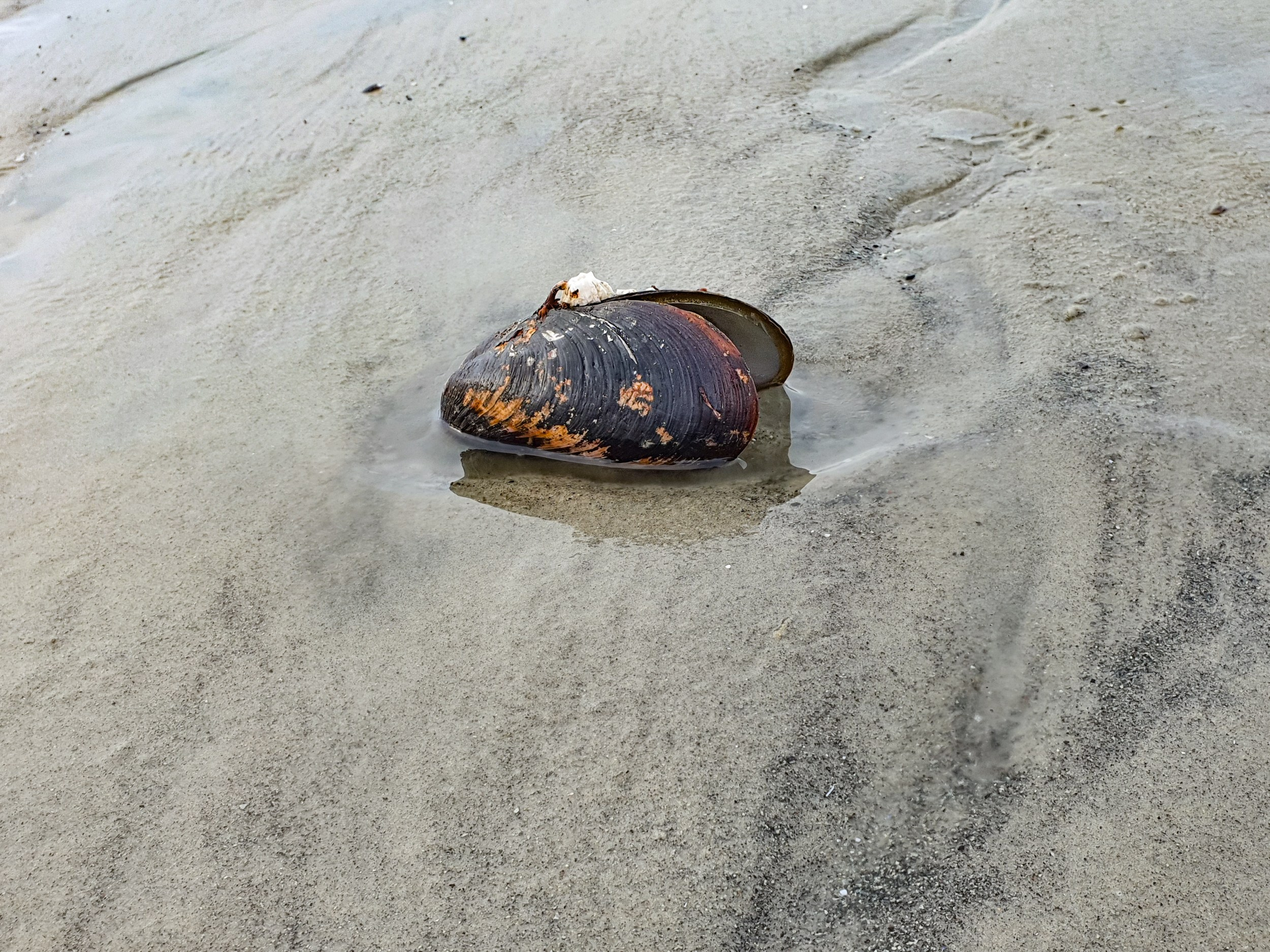Seascape in Teriberka, photographer Svetlana Korneliuk