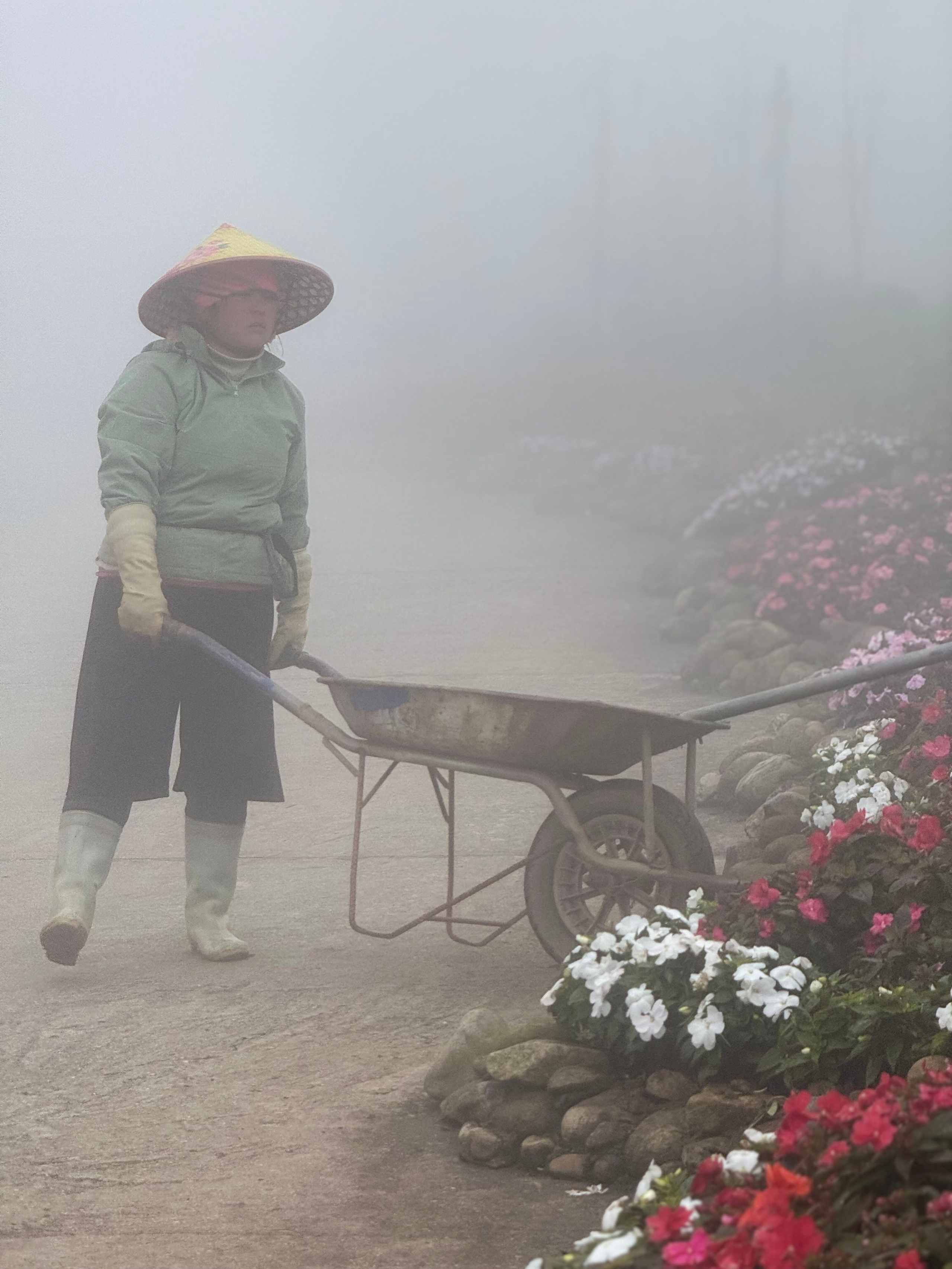 Вьетнам.Сапа 2025. А вот и да!