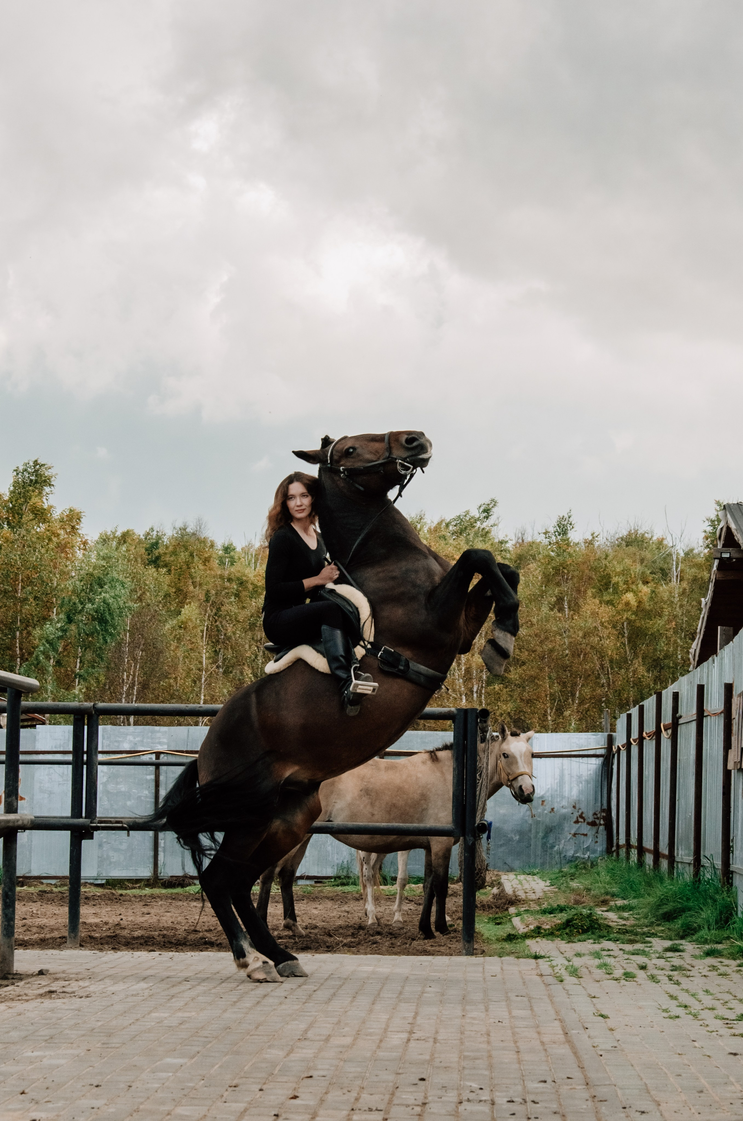 Дом-музей лошадей Хуторъ. Фотографы в Тюмени Андрей и Лидия Войвод