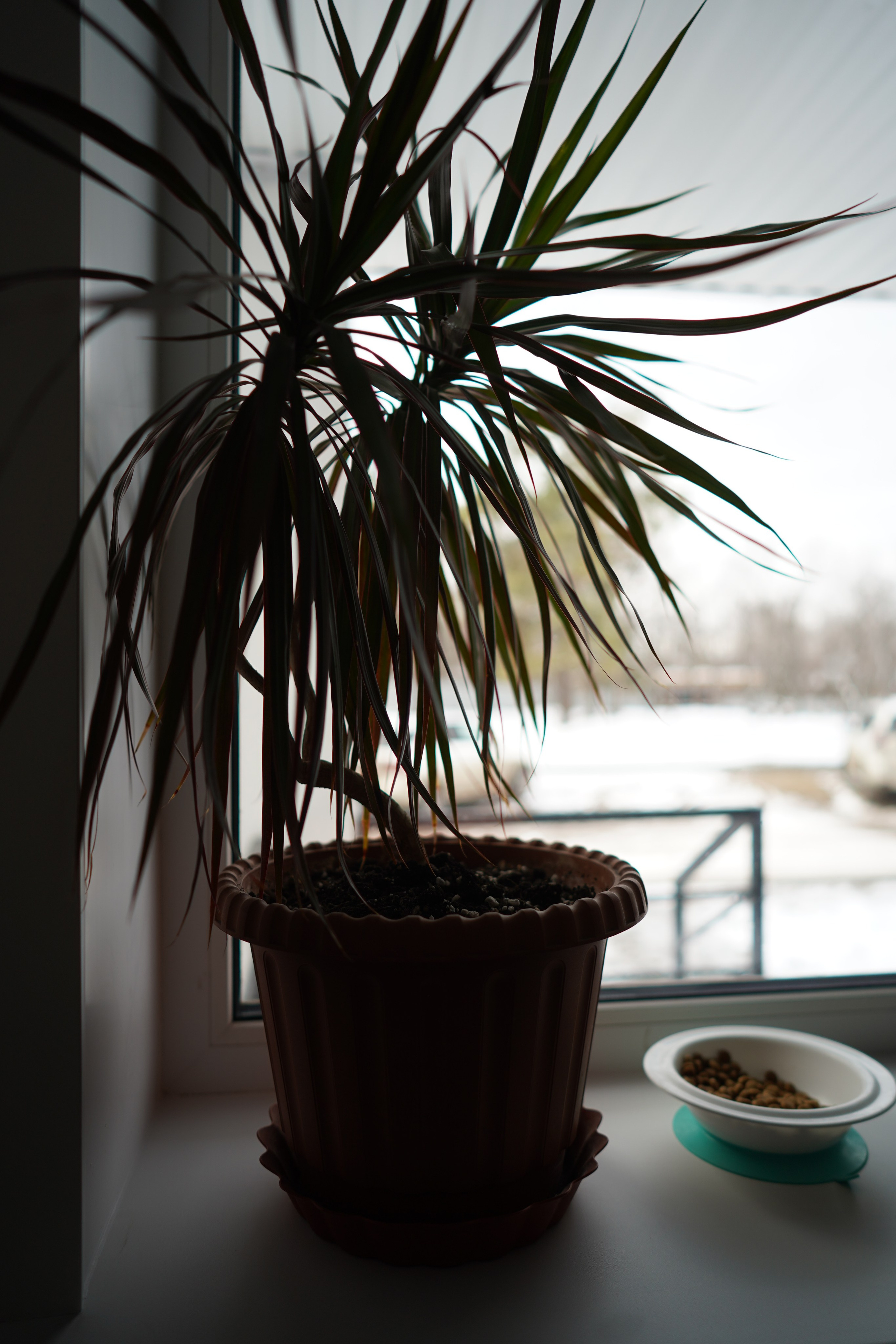 ЖК Приозерный. Das House