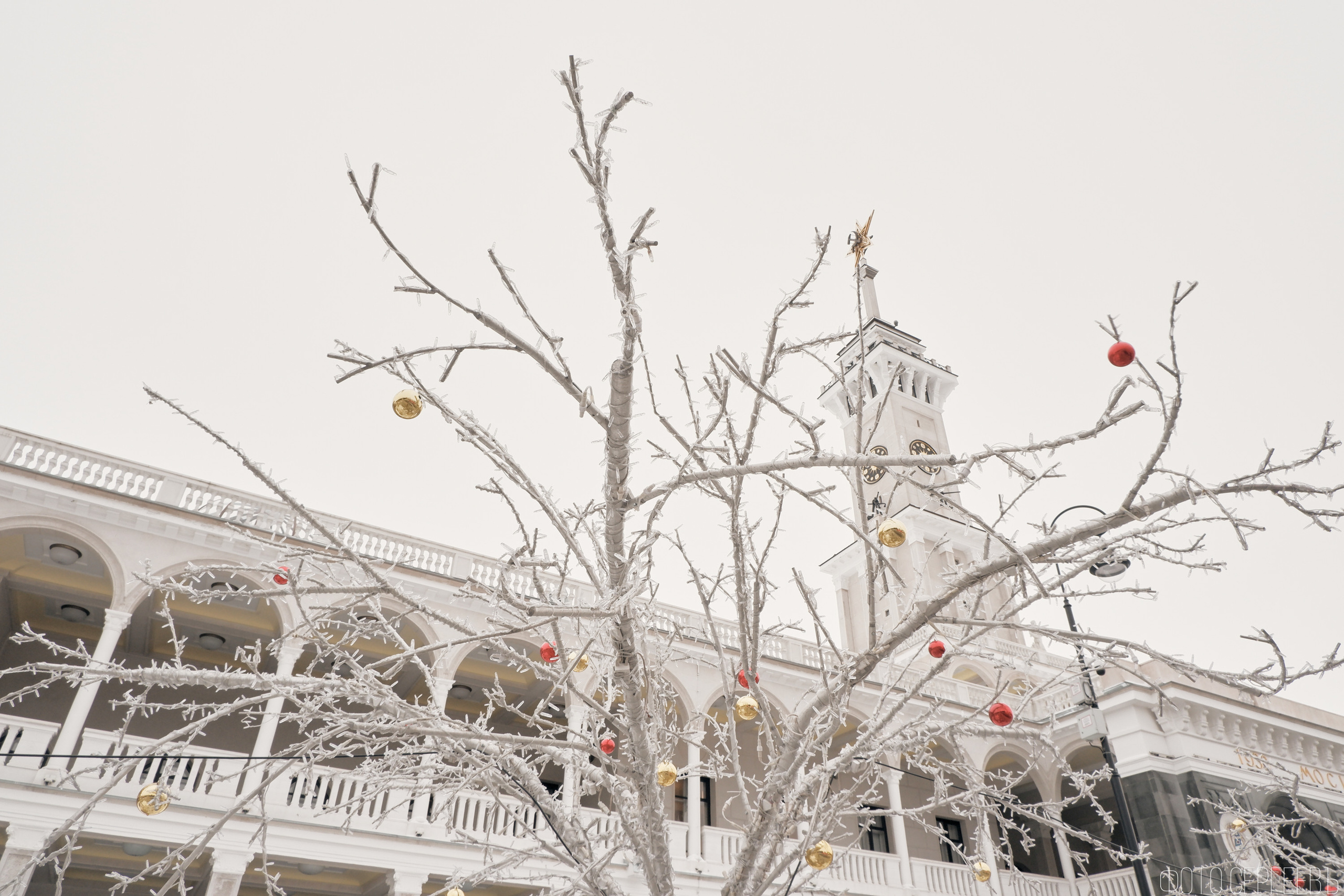 Северный Речной Вокзал. Москва. Зима. Fujifilm X-A5 XC 15-45mm