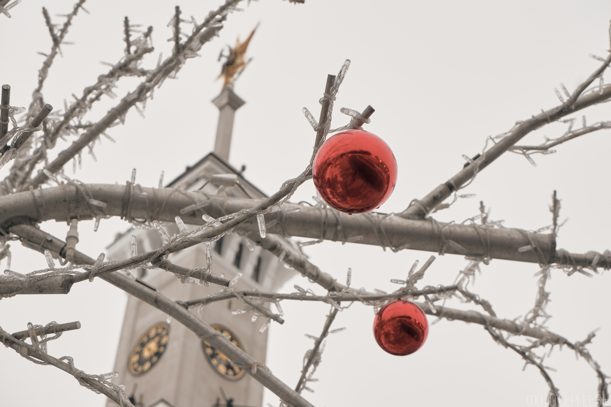 Северный Речной Вокзал. Москва. Зима. Fujifilm X-A5 XC 15-45mm