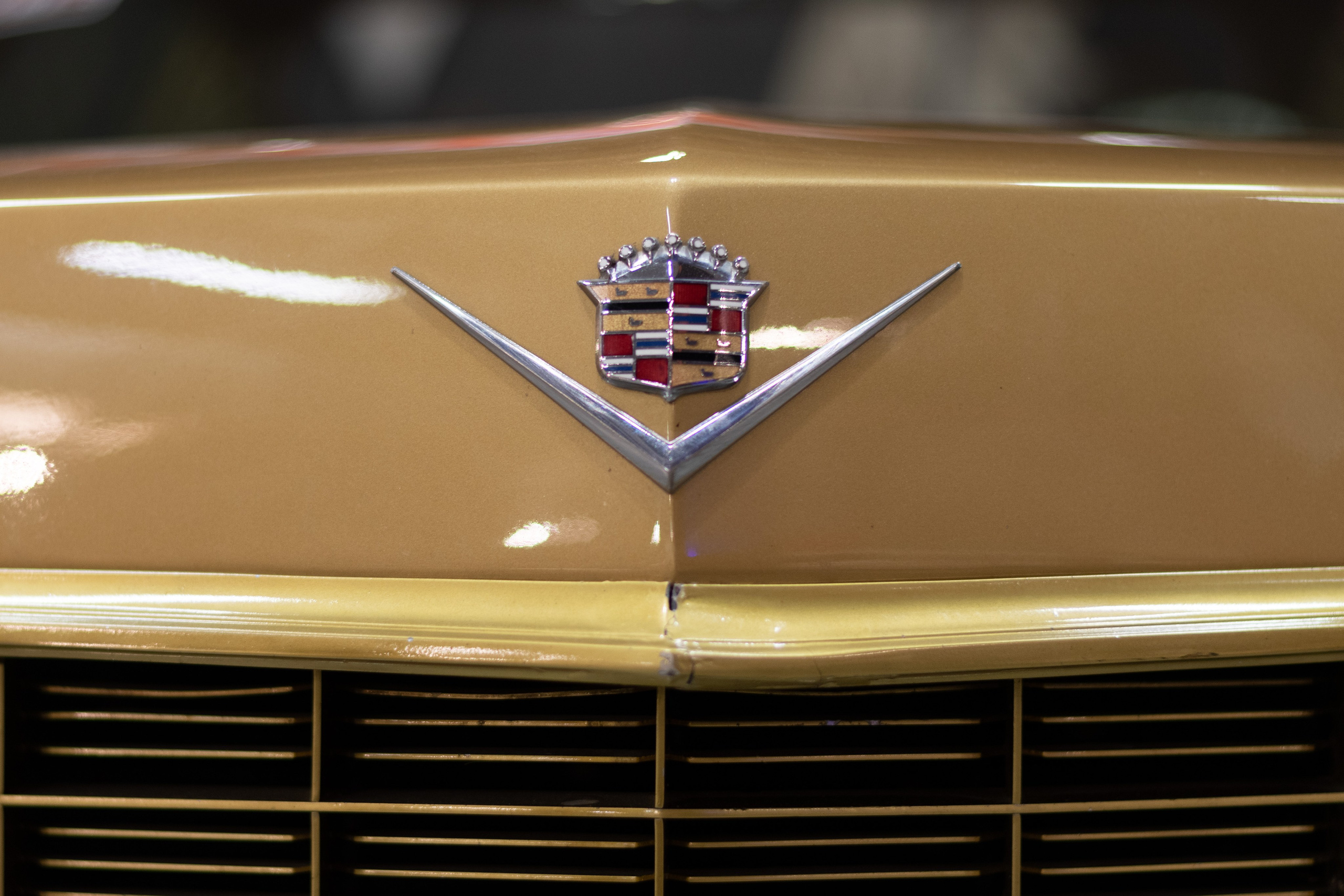 20211017 Музеон. Дмитрий Ремизов. Фотография, как хобби