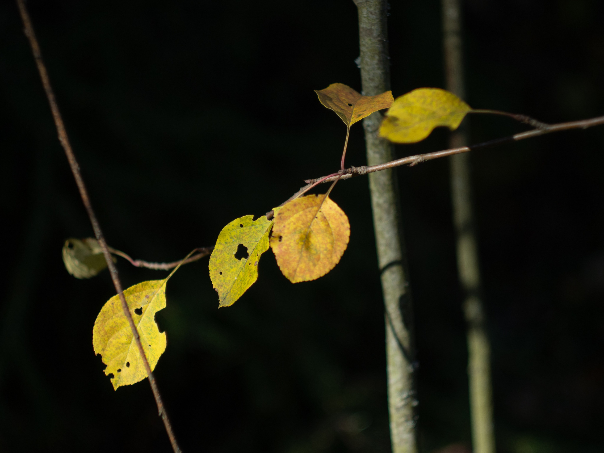 20230923-25 Родники. Дмитрий Ремизов. Фотография, как хобби