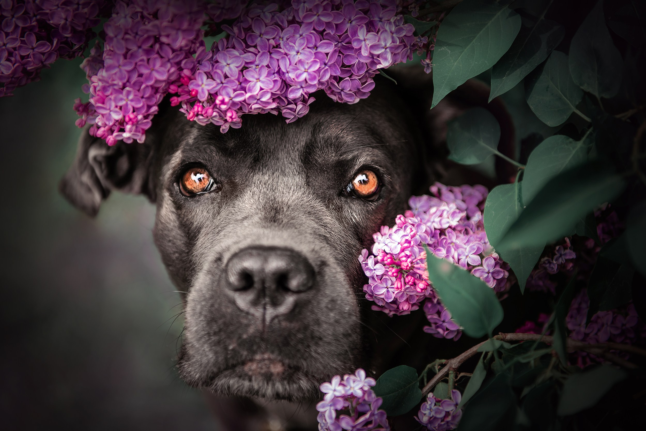 Кристина и Тея. Семейный Фотограф в Москве Ирина Хохлова