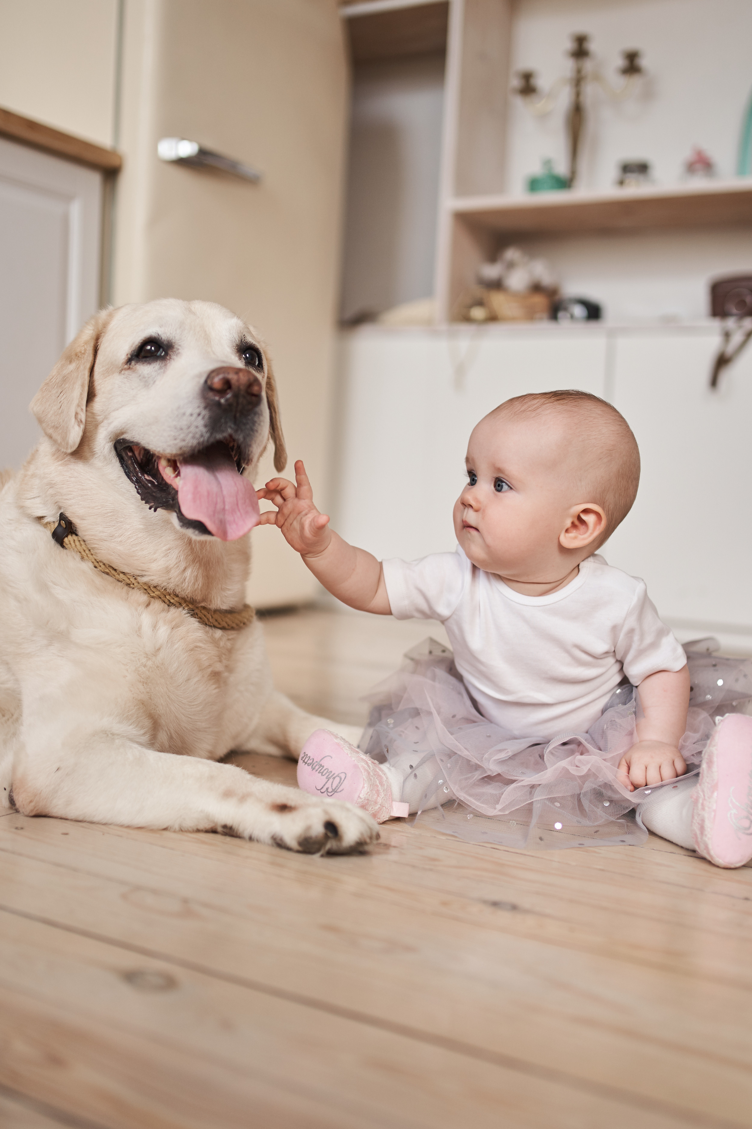 Павел, Алина и Есения. Фотограф Алёна Латкина — Екатеринбург
