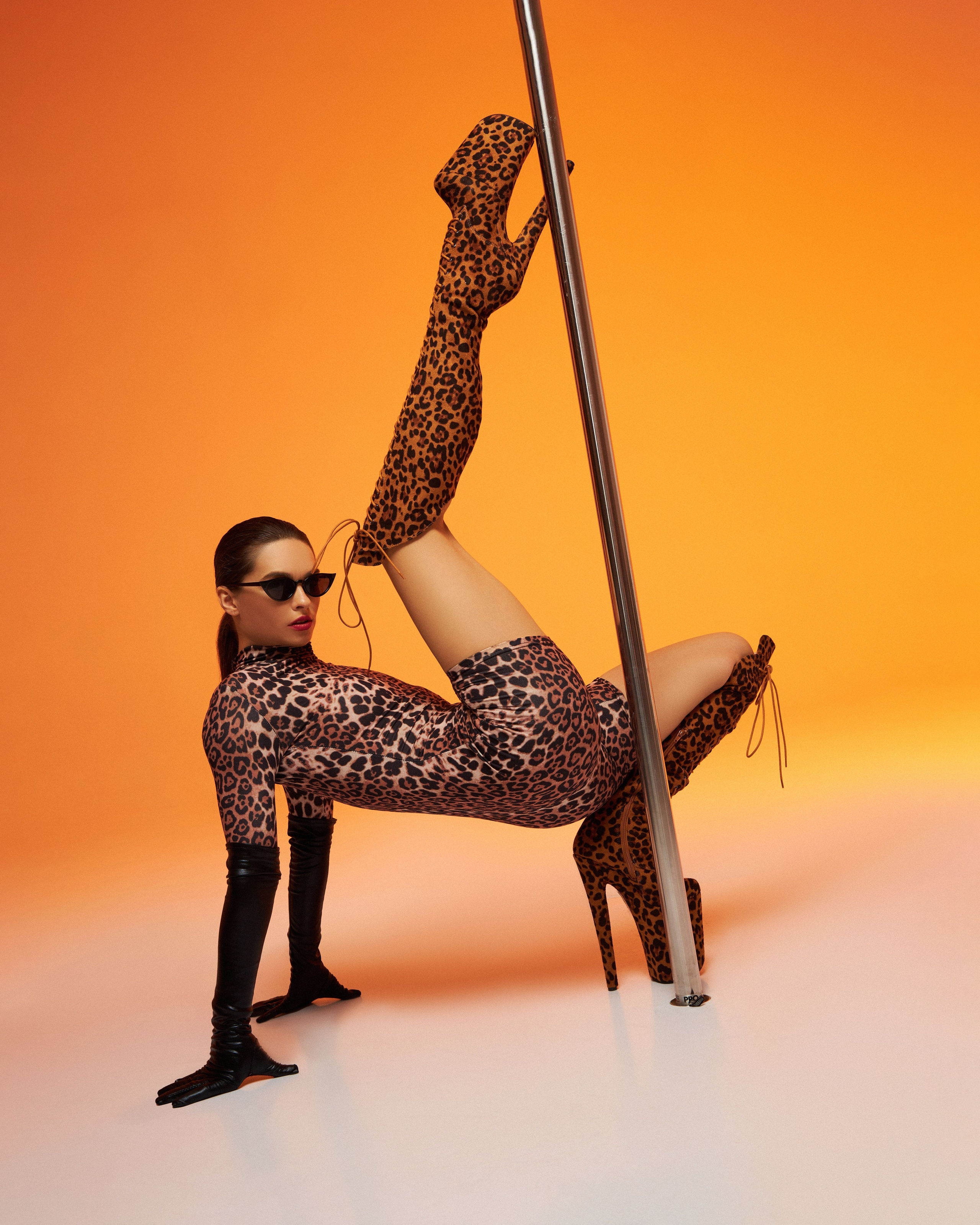 Pole dance. Sfotau.ru