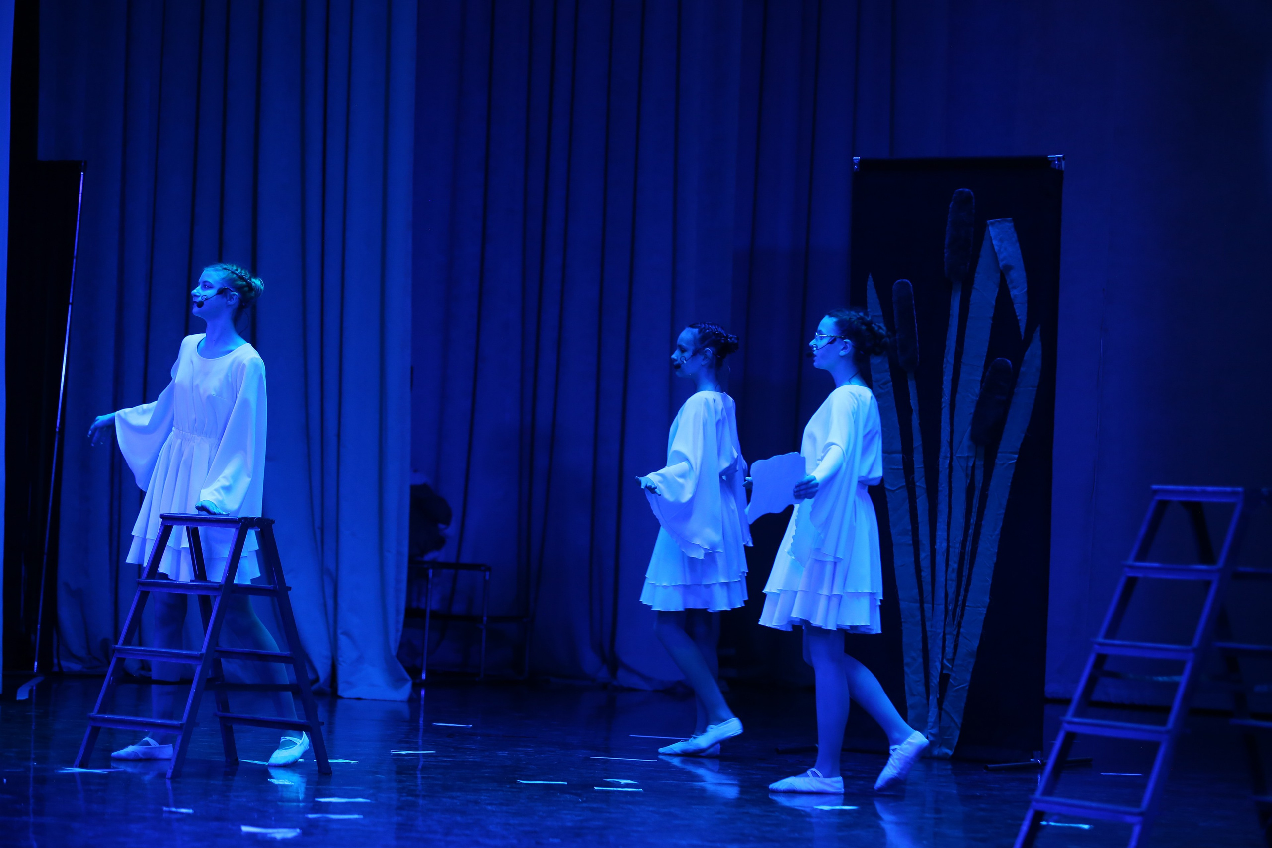 ТС ФАНТАЗИЯ — БЕНЕФИС 25 ЛЕТ. Профессиональный фотограф в Мценске и Орловской области