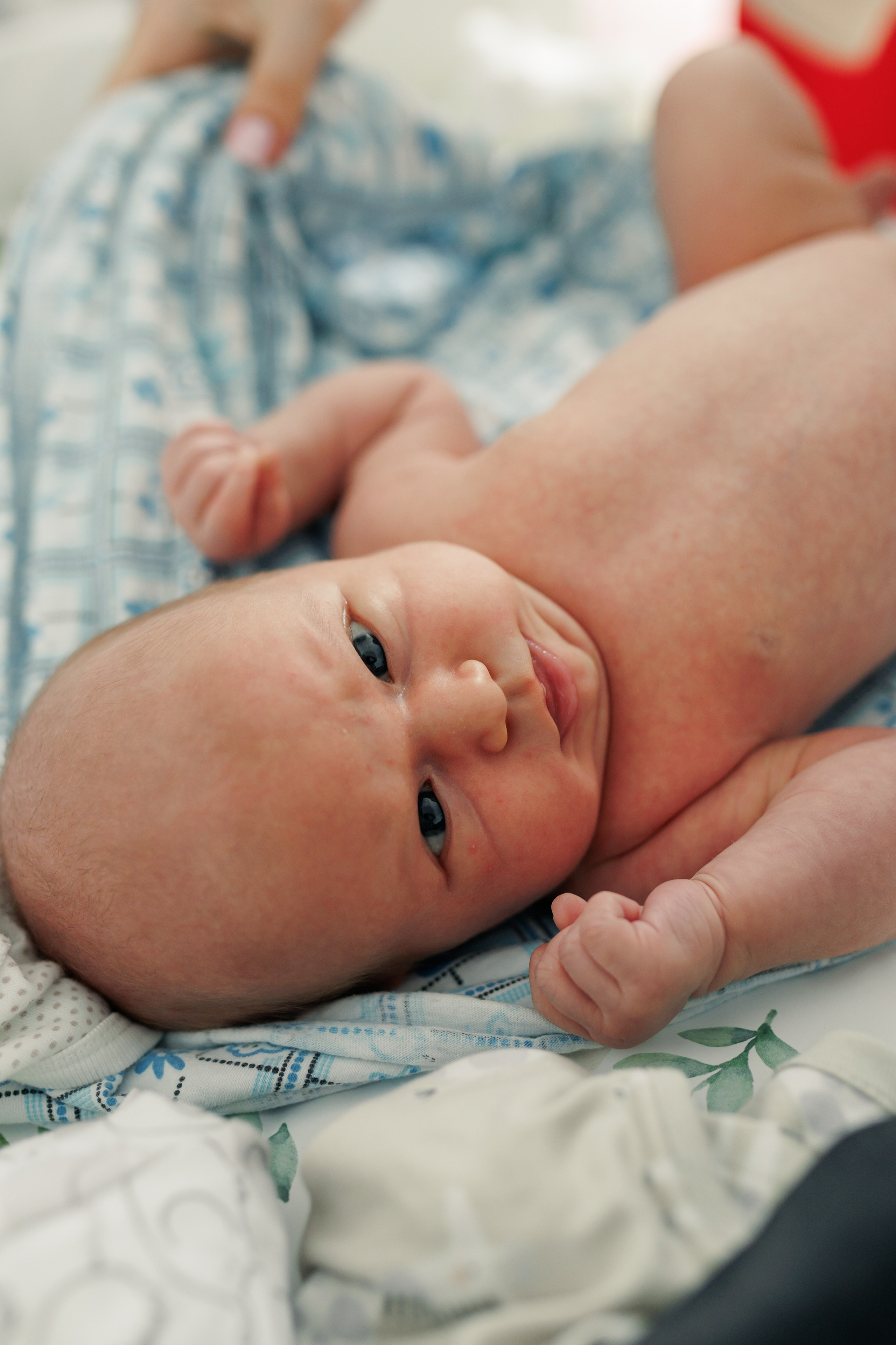 Семейная фотосессия для новорожденного. Фотограф Валерия Горбунова Подольск Бутово Видное Щербинка