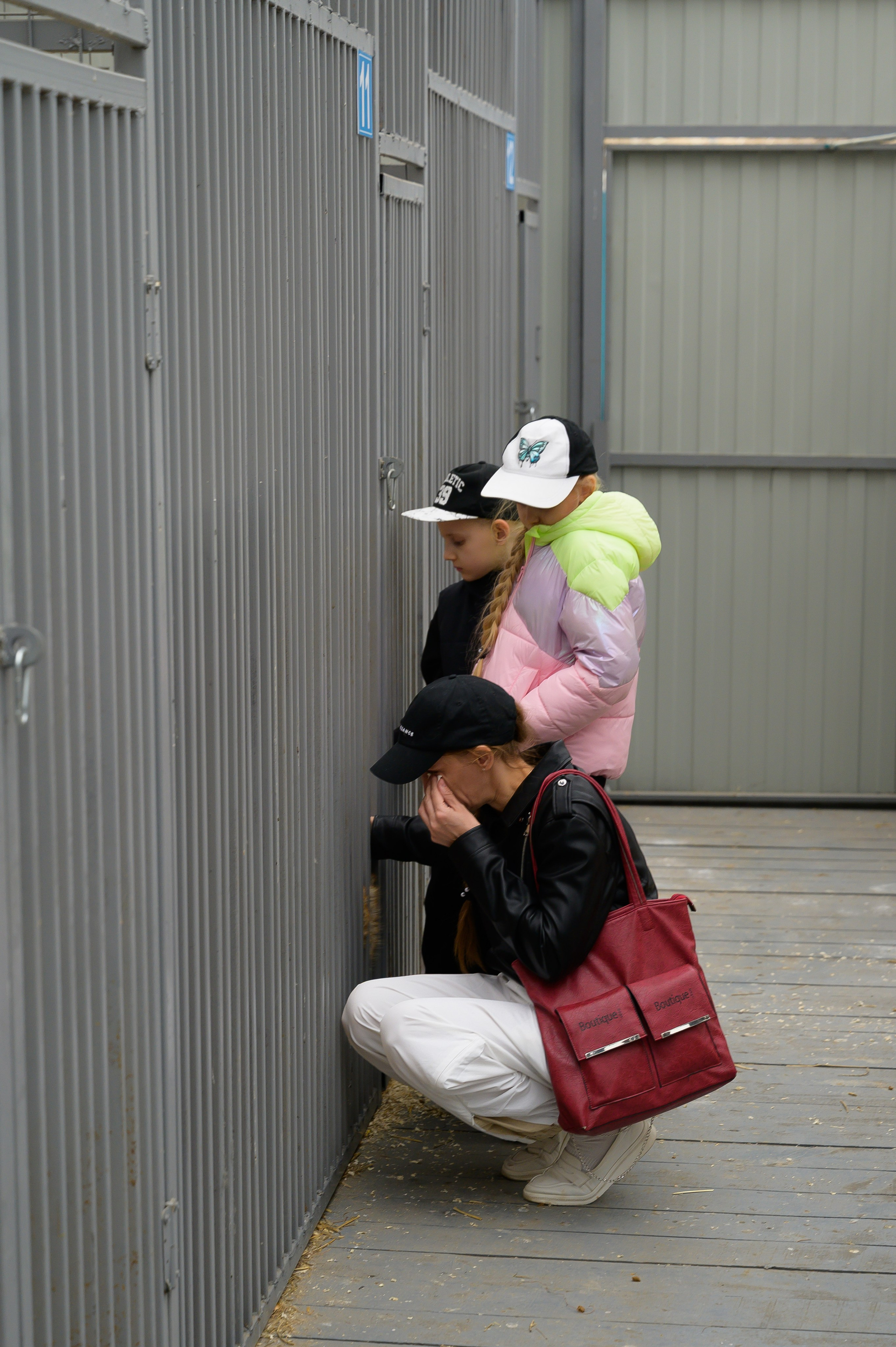 Открытие приюта для собак породы Хаски «Хаски дом»