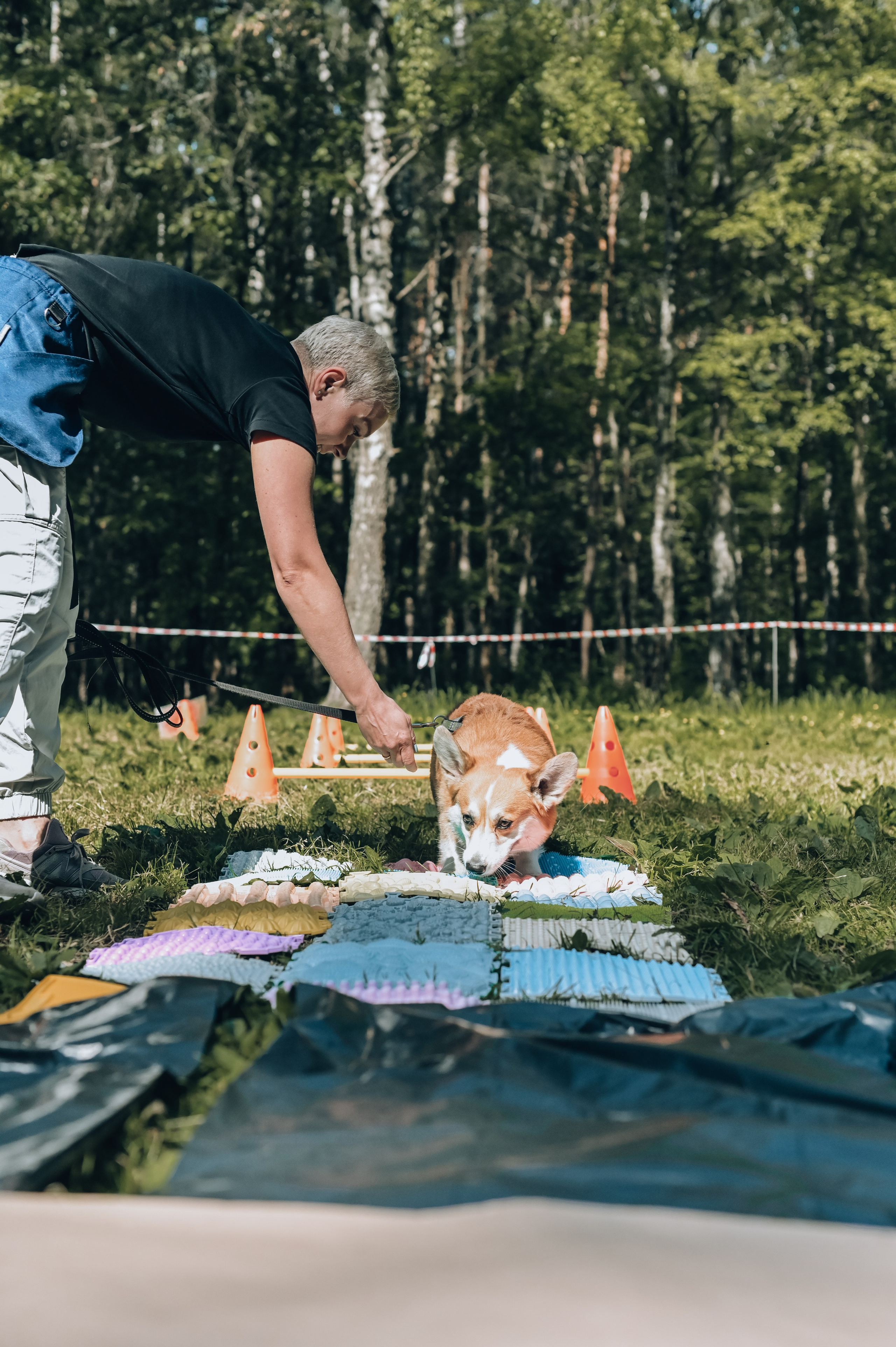 Кинологические соревнования. Семейный и репортажный фотограф в Москве Анастасия Трубкина