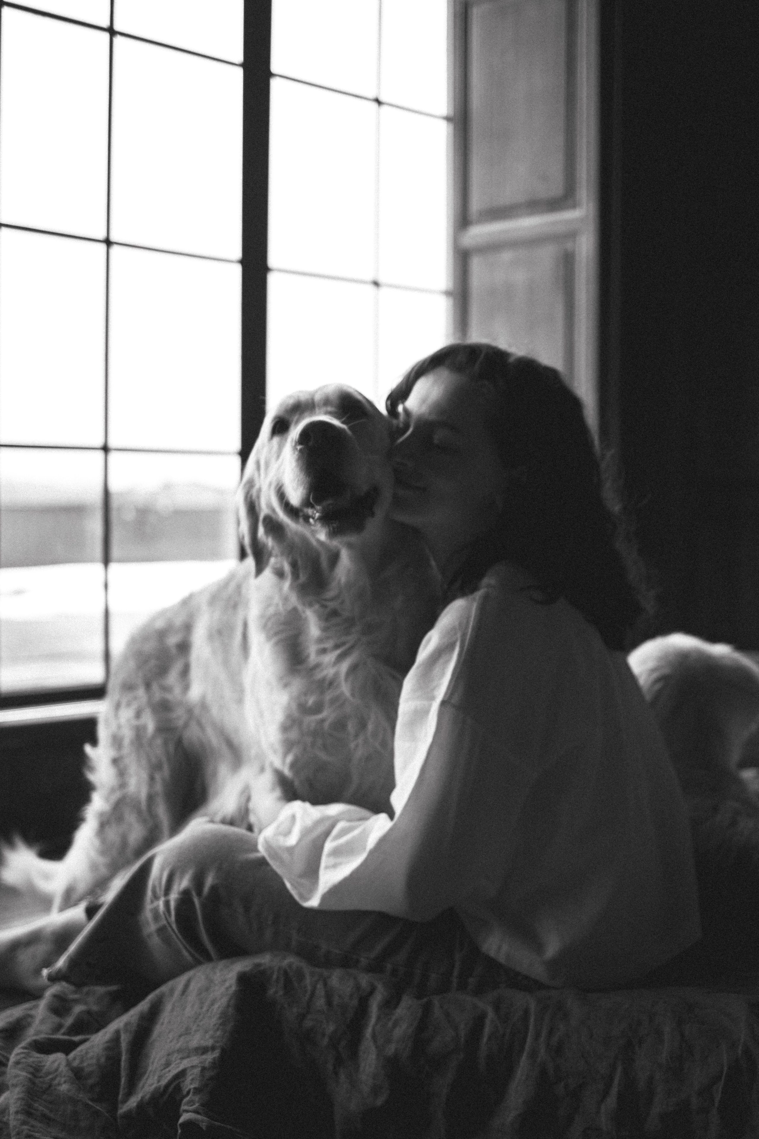 Настя, Арчи и Арагон. Фотограф-анималист в Санкт-Петербурге Алина Яхонт