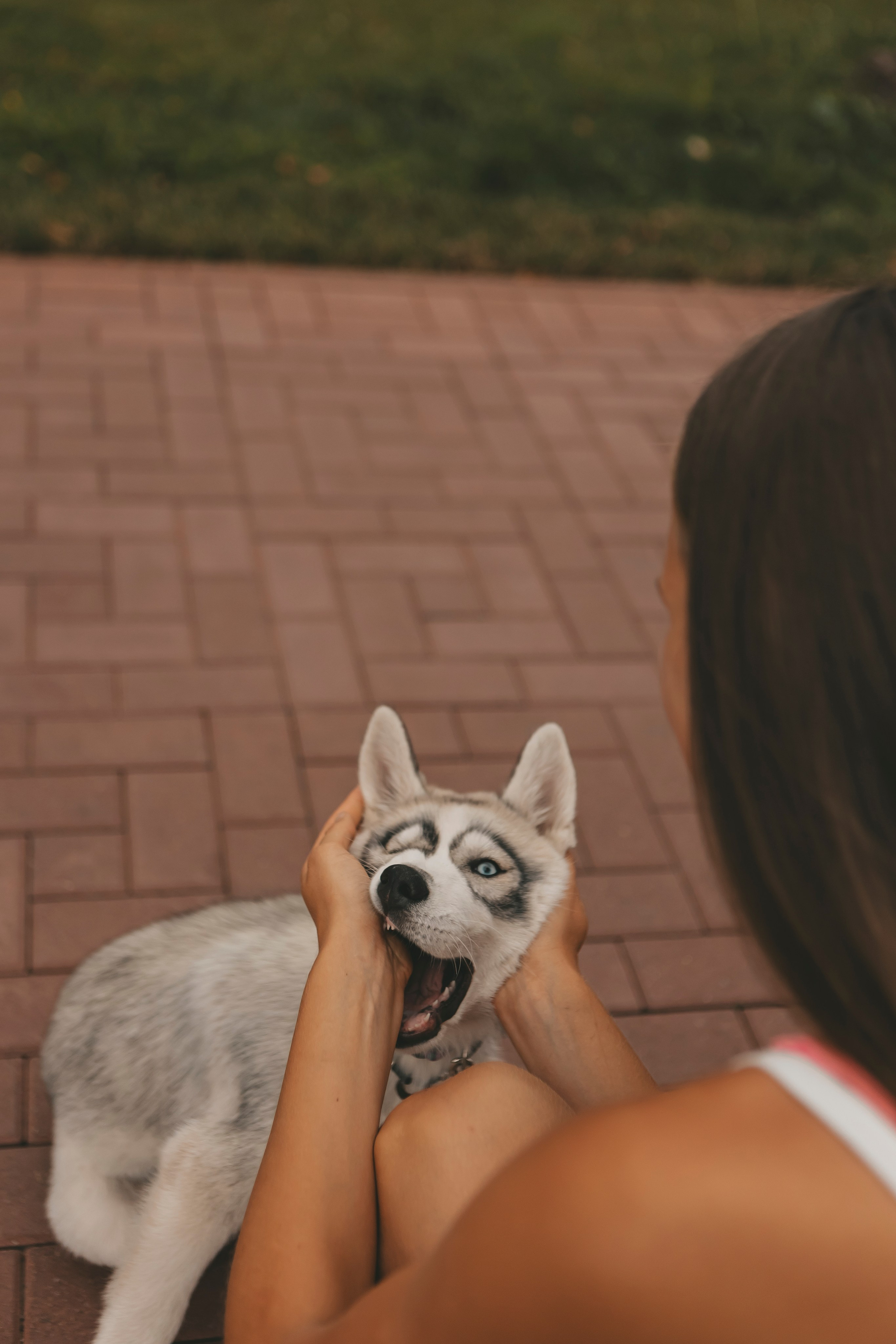Милана и Белка. Фотограф-анималист в Санкт-Петербурге Алина Яхонт