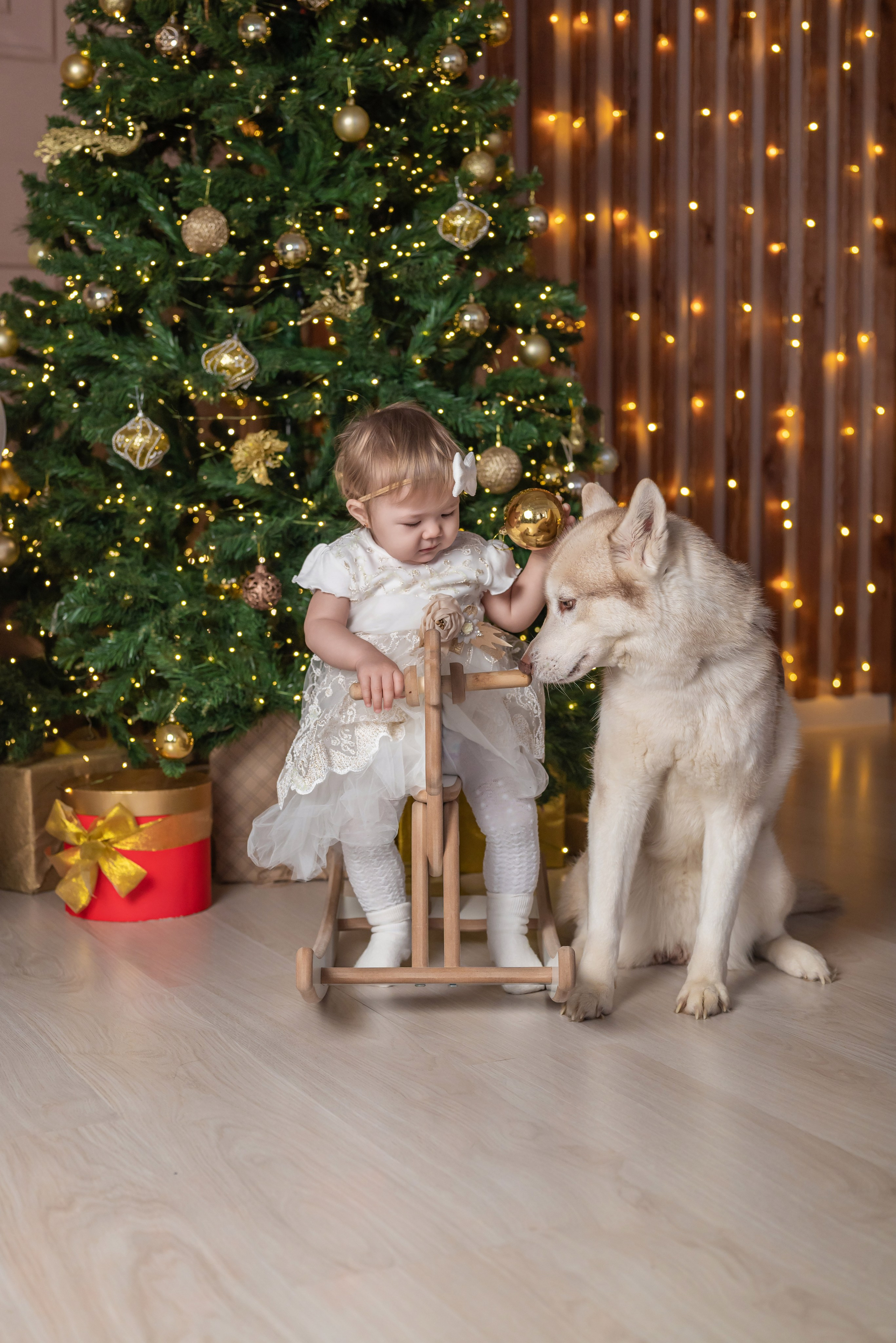 Фотопроект с хаски. Фотограф в городе Салават