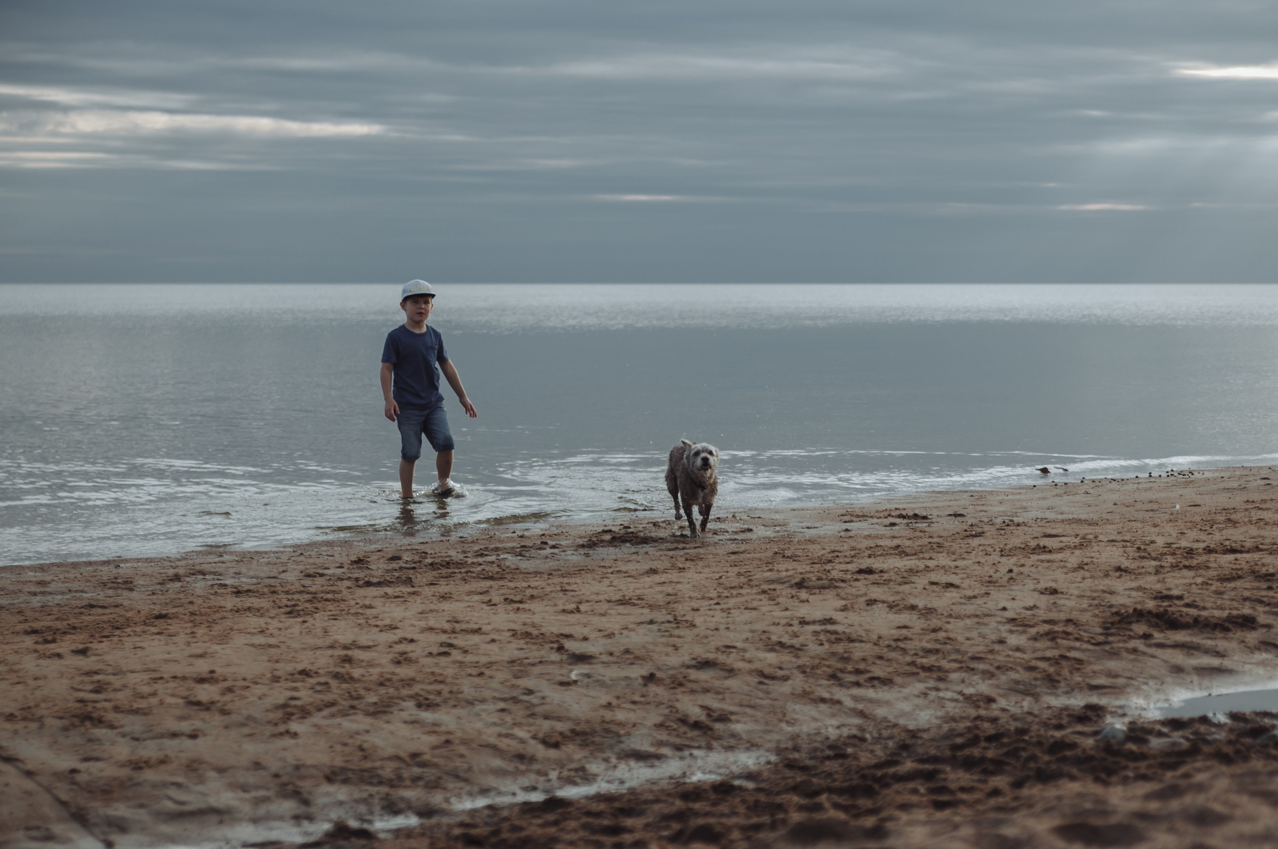 Семейная прогулка с собакой. Семейный фотограф, свадебный фотограф, женский портрет в Санкт-Петербу