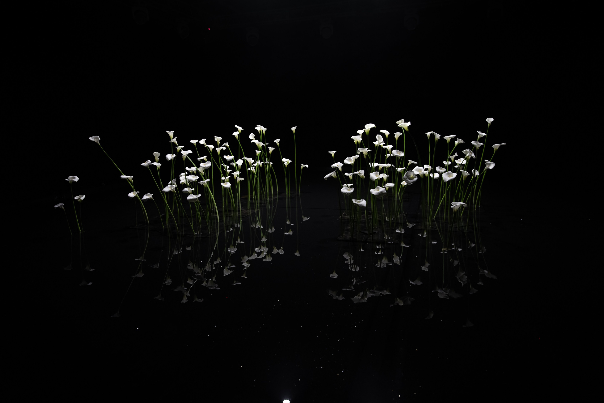 М&А. Свадебный фотограф