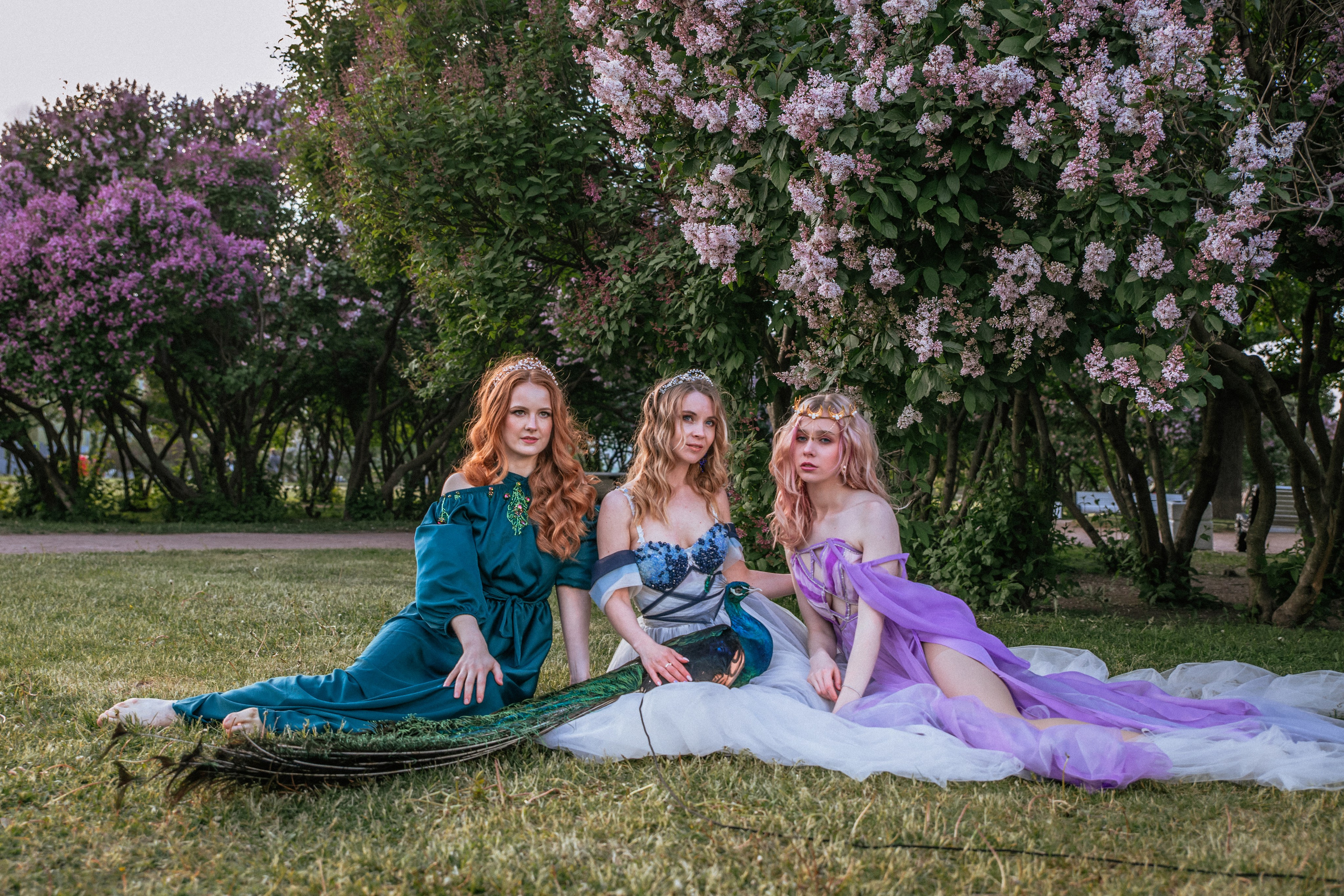 Павлин. Elena Sova — семейный и женский фотограф в Санкт-Петербурге