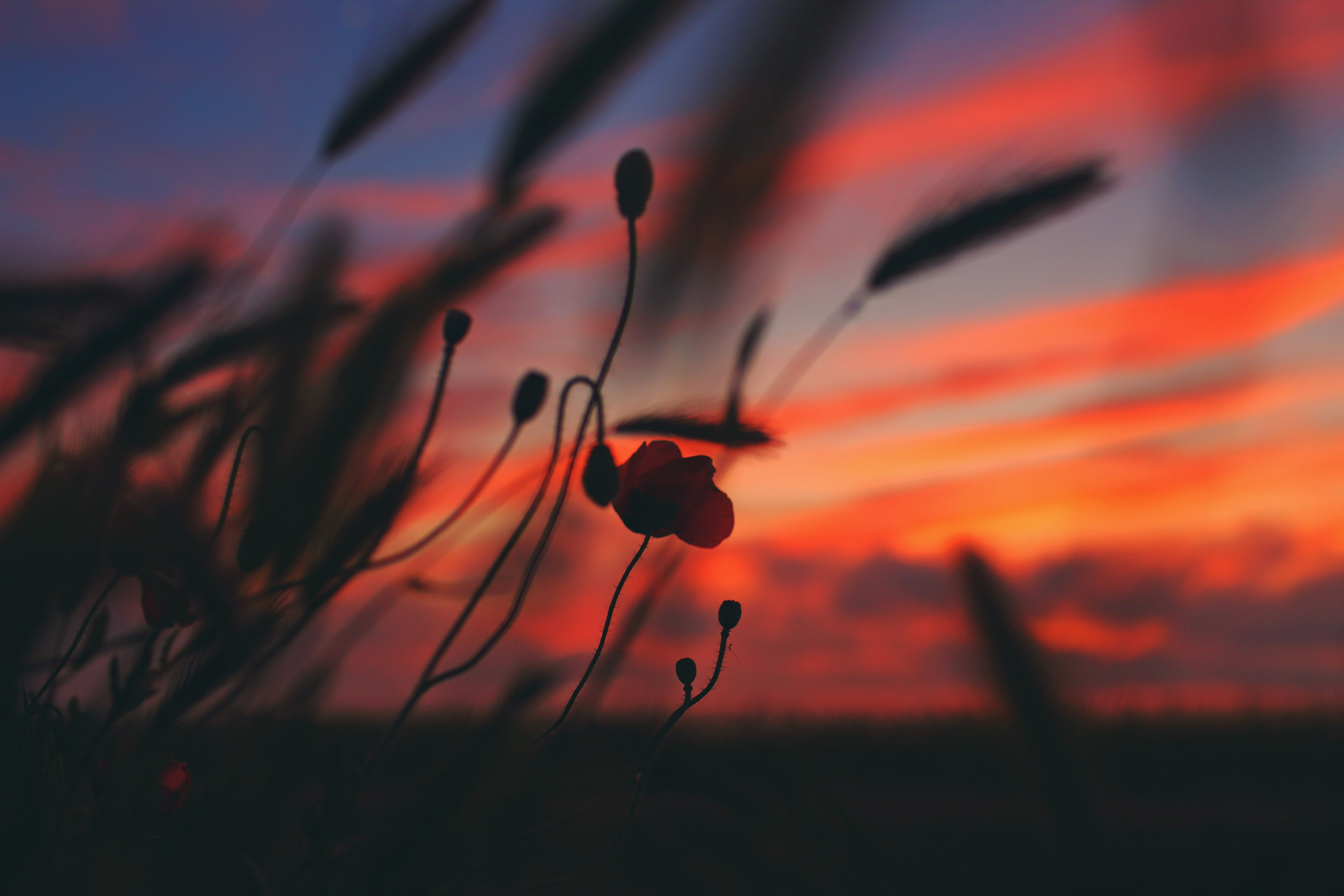 Крым. Свадебный и репортажный фотограф в Ярославле и Санкт-Петербурге Роман Микрюков