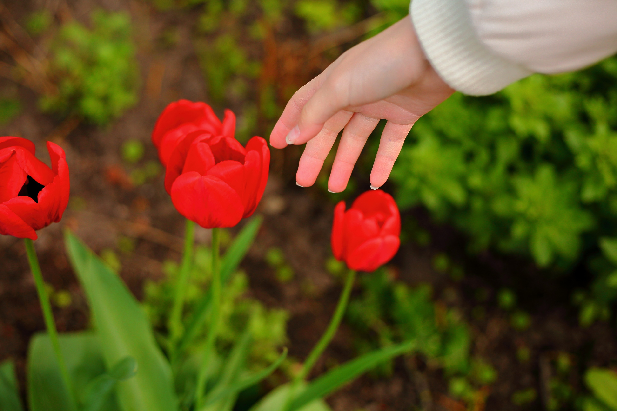 Средняя полоса. Свадебный и репортажный фотограф в Ярославле и Санкт-Петербурге Роман Микрюков