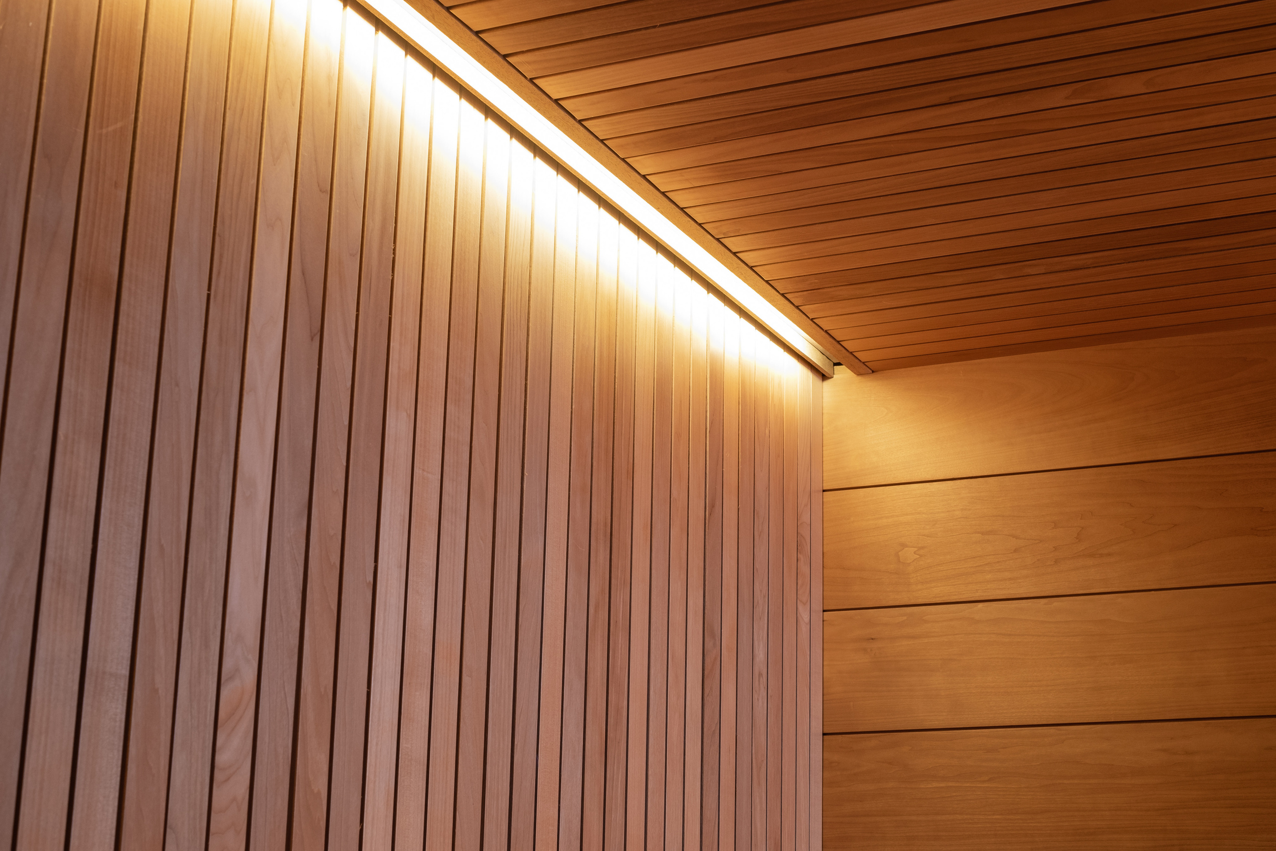 История на Суходольском озере. Творческая мастерская