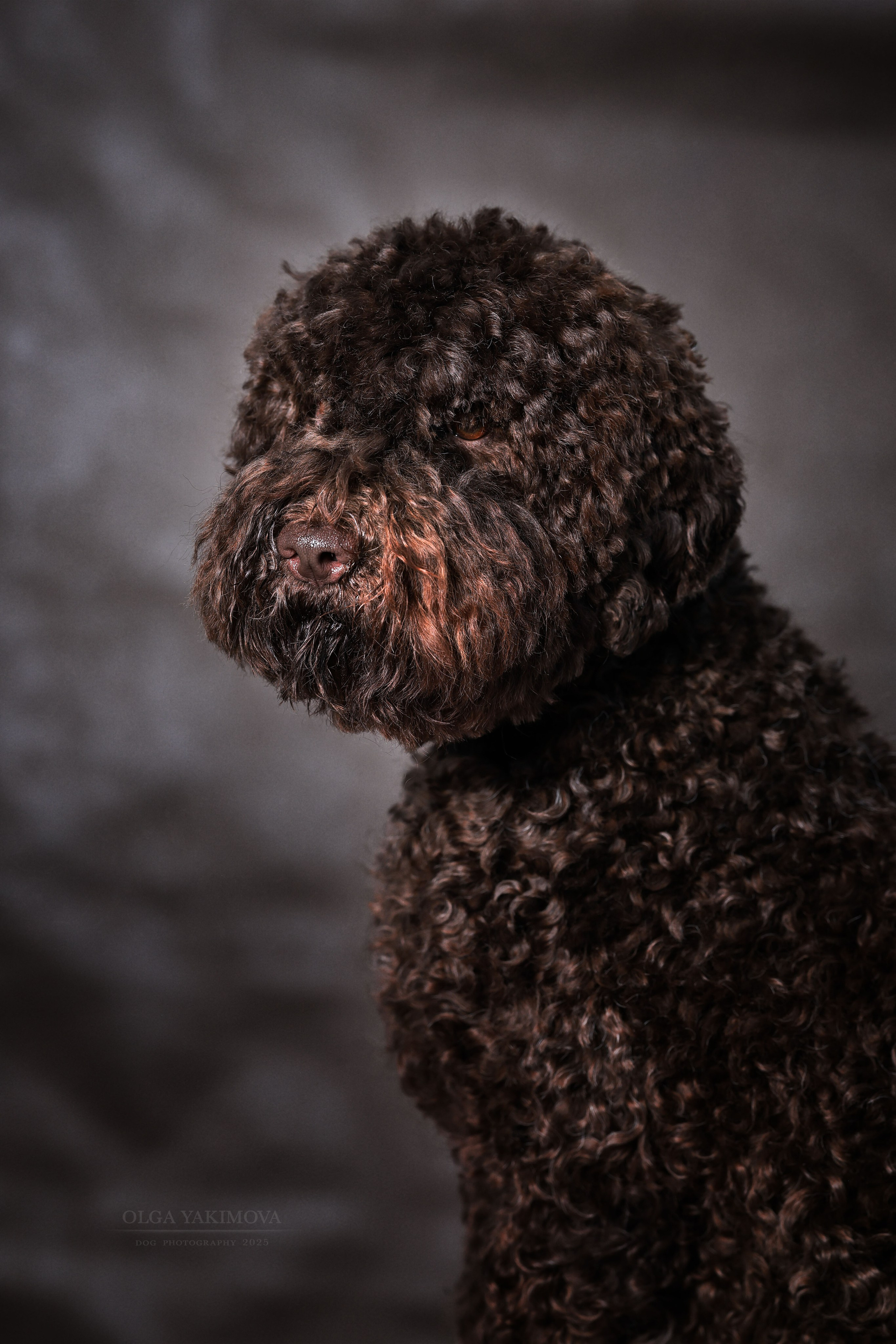 Экстерьер. Фотограф